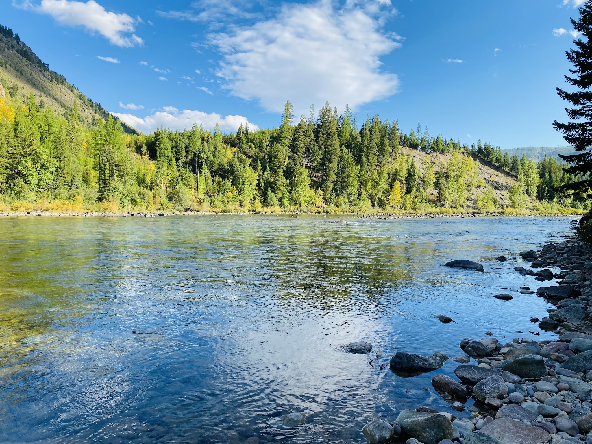 Big Creek Campground (Flathead National Forest, Mt)