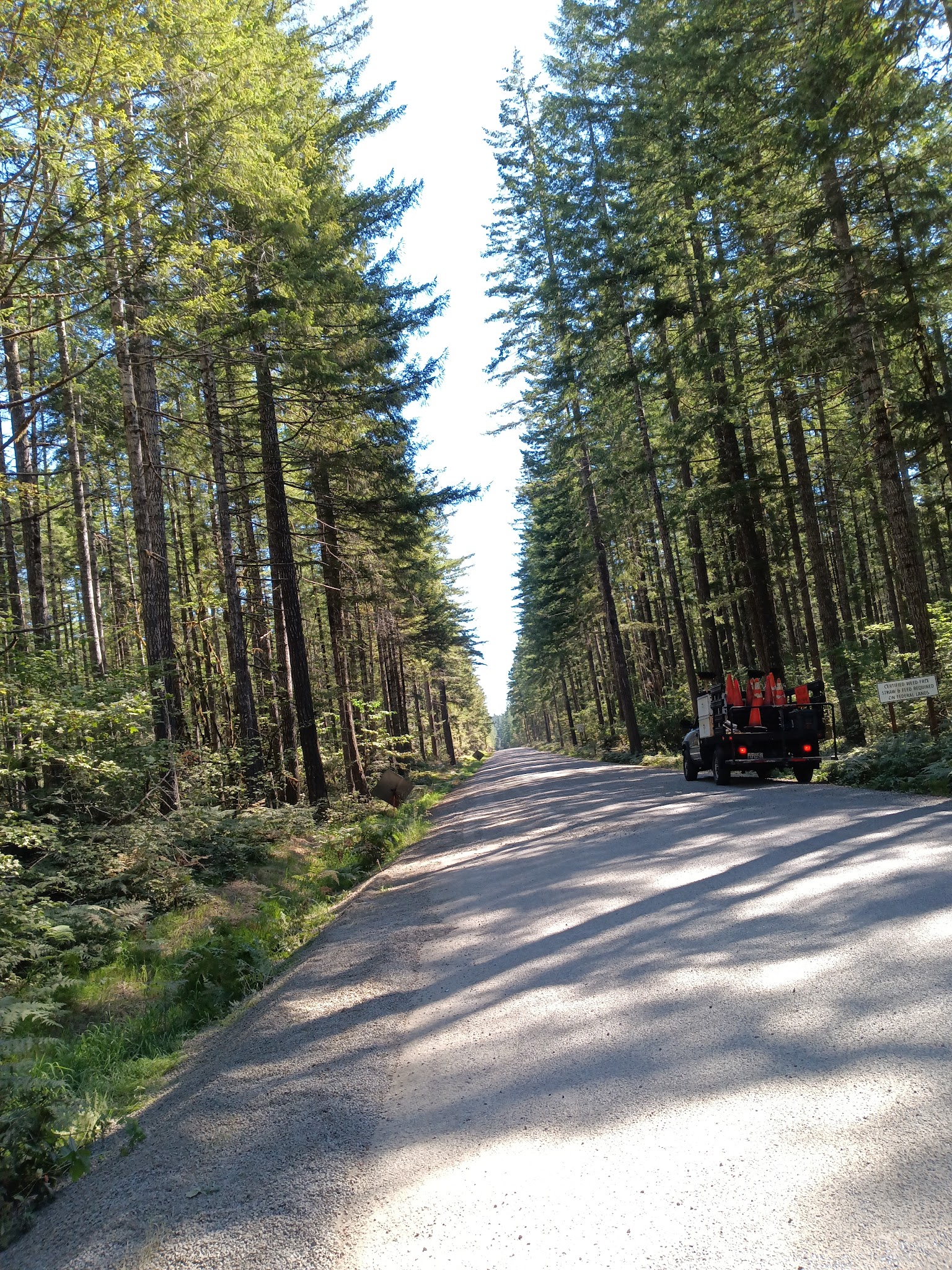 Big Creek Campground