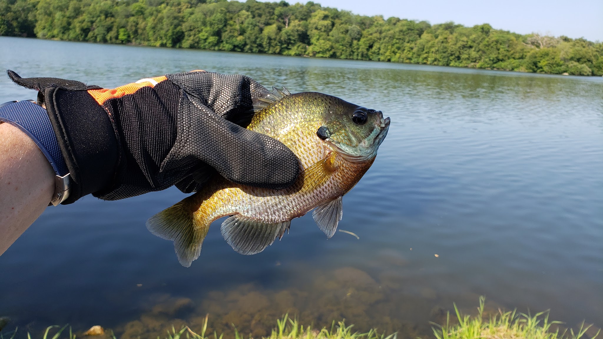 Big Creek State Park