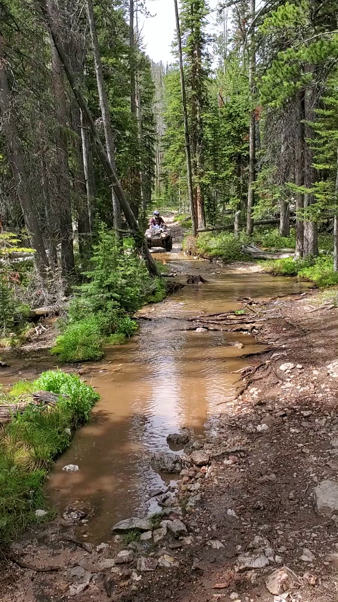 Big Eightmile Campground/Trailhead