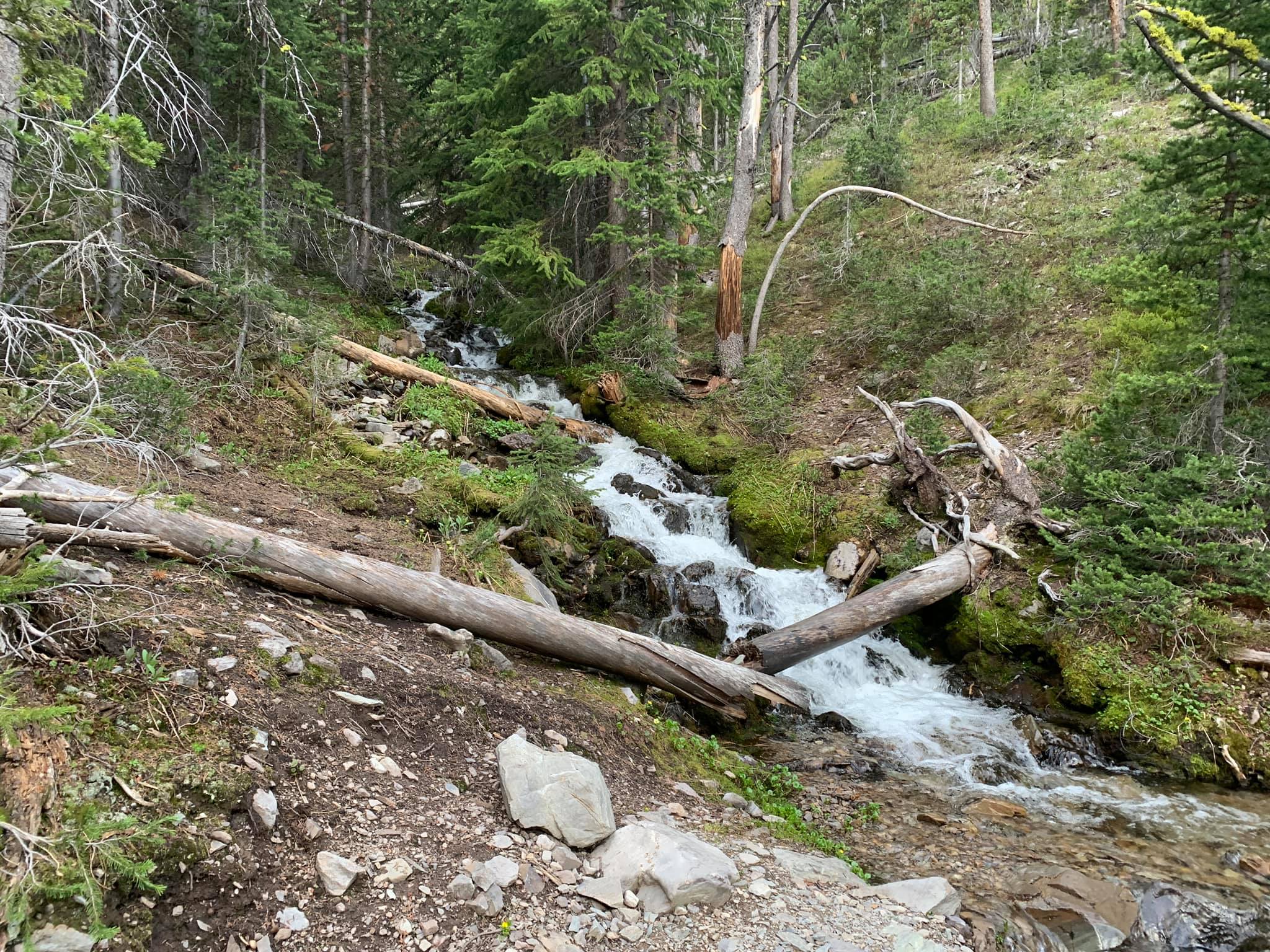 Big Eightmile Campground/Trailhead