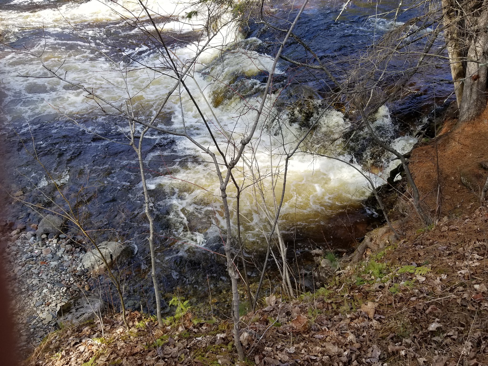 Big Eric'S Bridge State Forest Campground