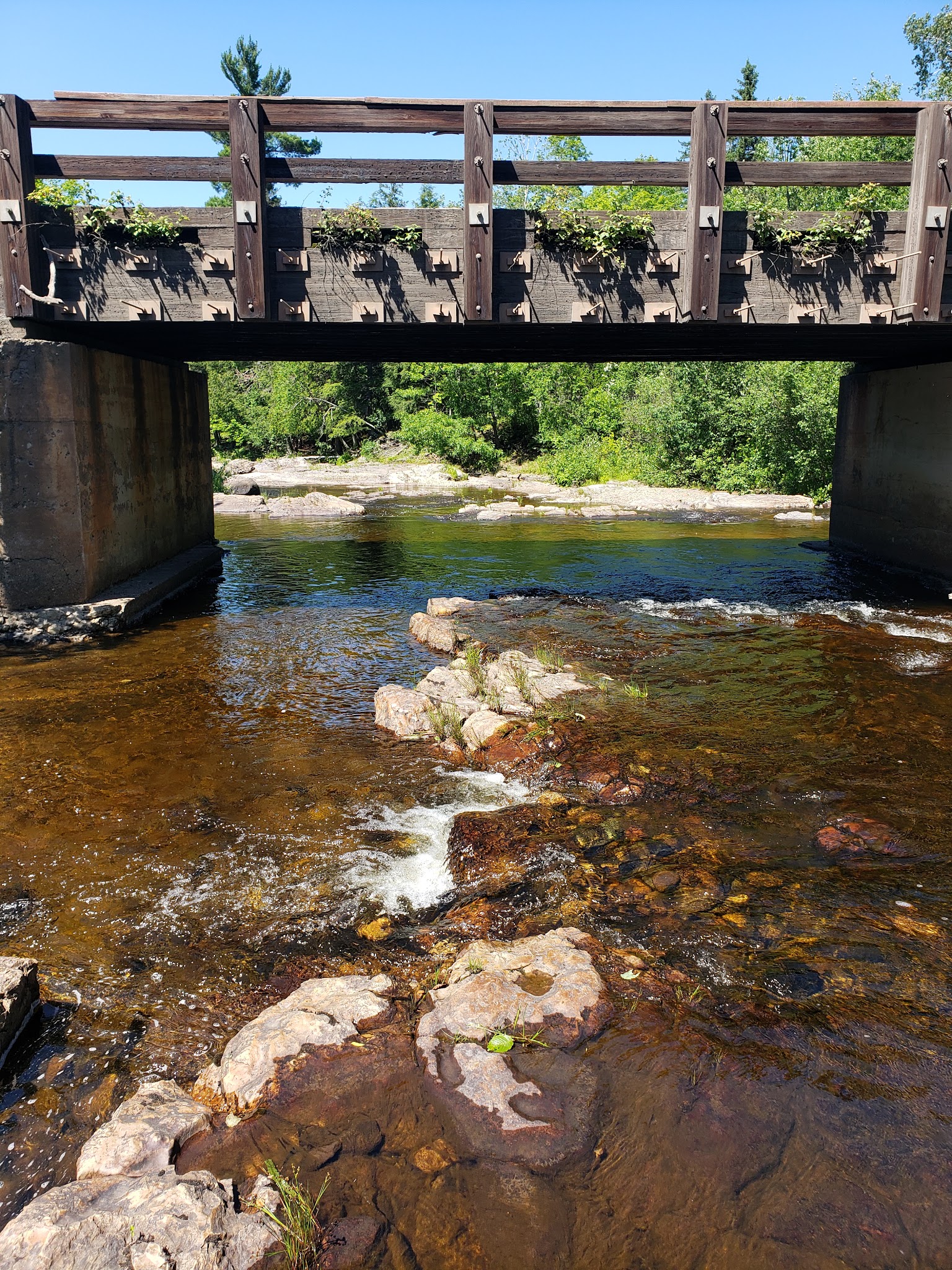 Big Eric'S Bridge State Forest Campground