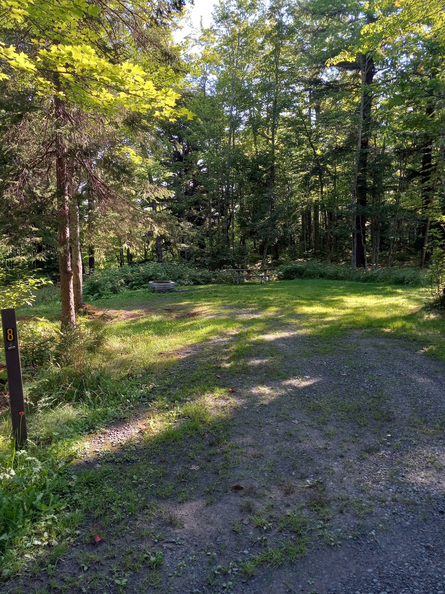 Big Eric'S Bridge State Forest Campground