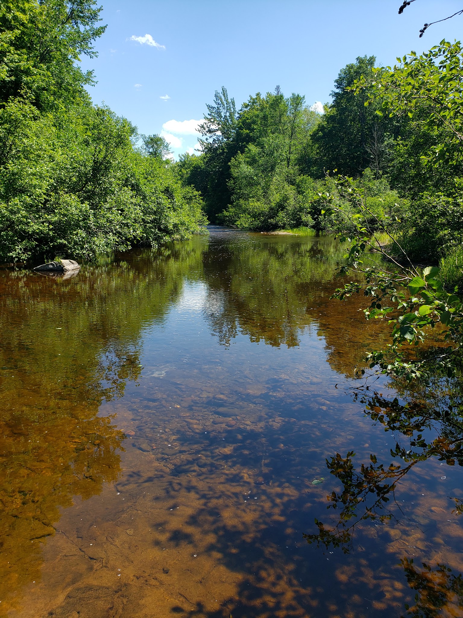 Big Eric'S Bridge State Forest Campground