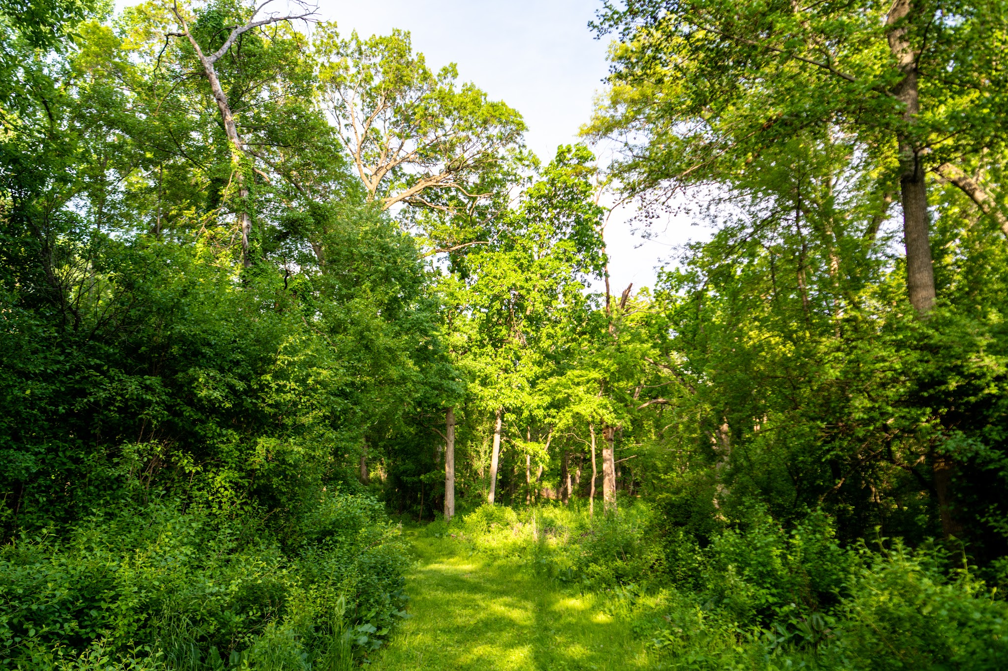 Big Foot Beach State Park