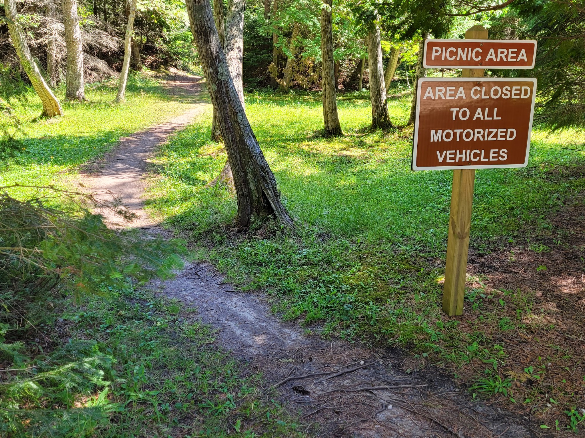 Big Knob State Forest Campground