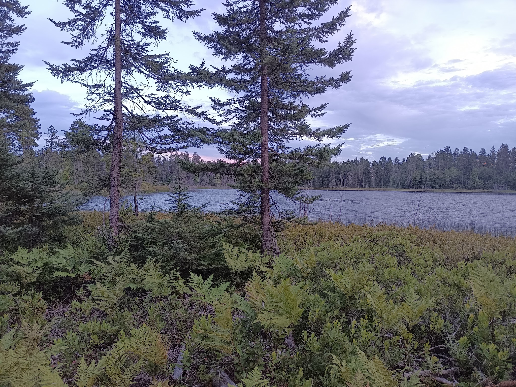 Big Lake State Forest Campground-Upper