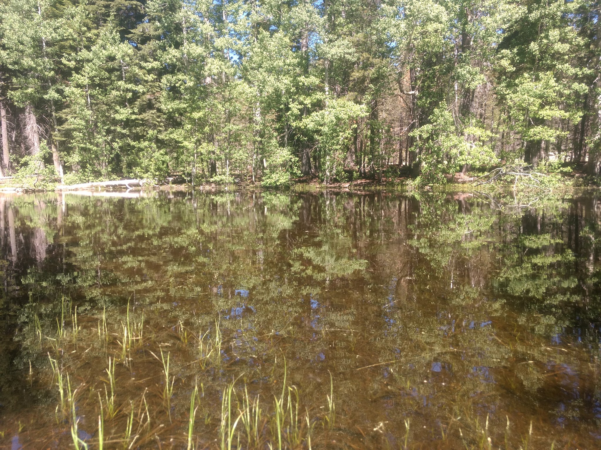 Big Meadow Campground