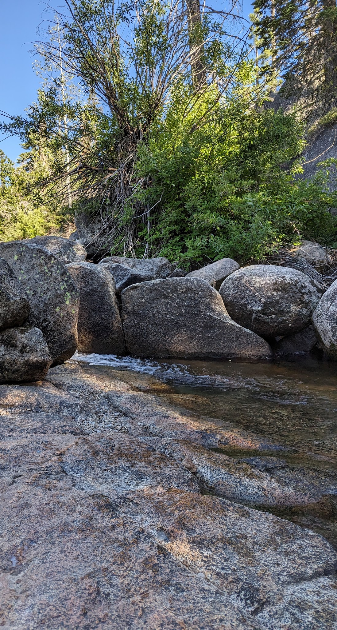 Big Meadow Campground