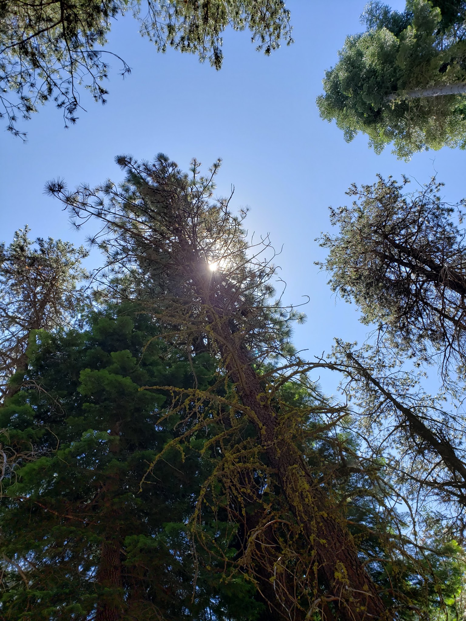 Big Meadow Campground