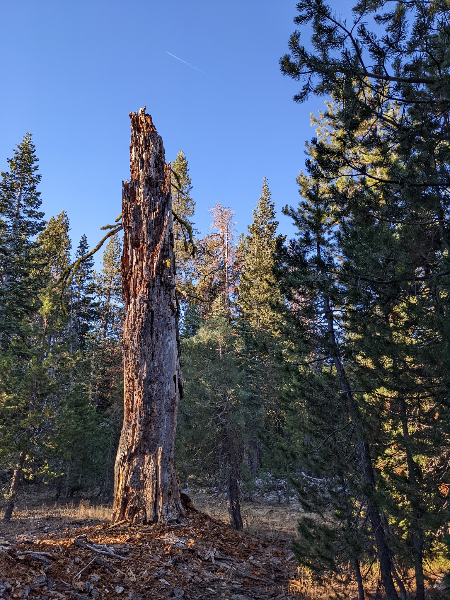 Big Meadow Campground