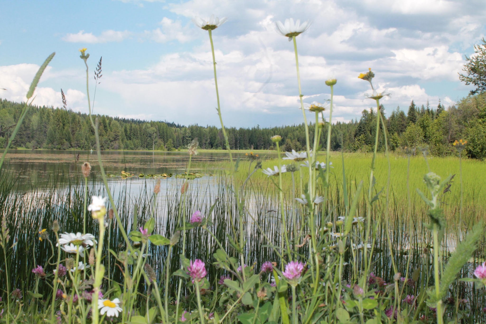 Big Meadow Lake Campground