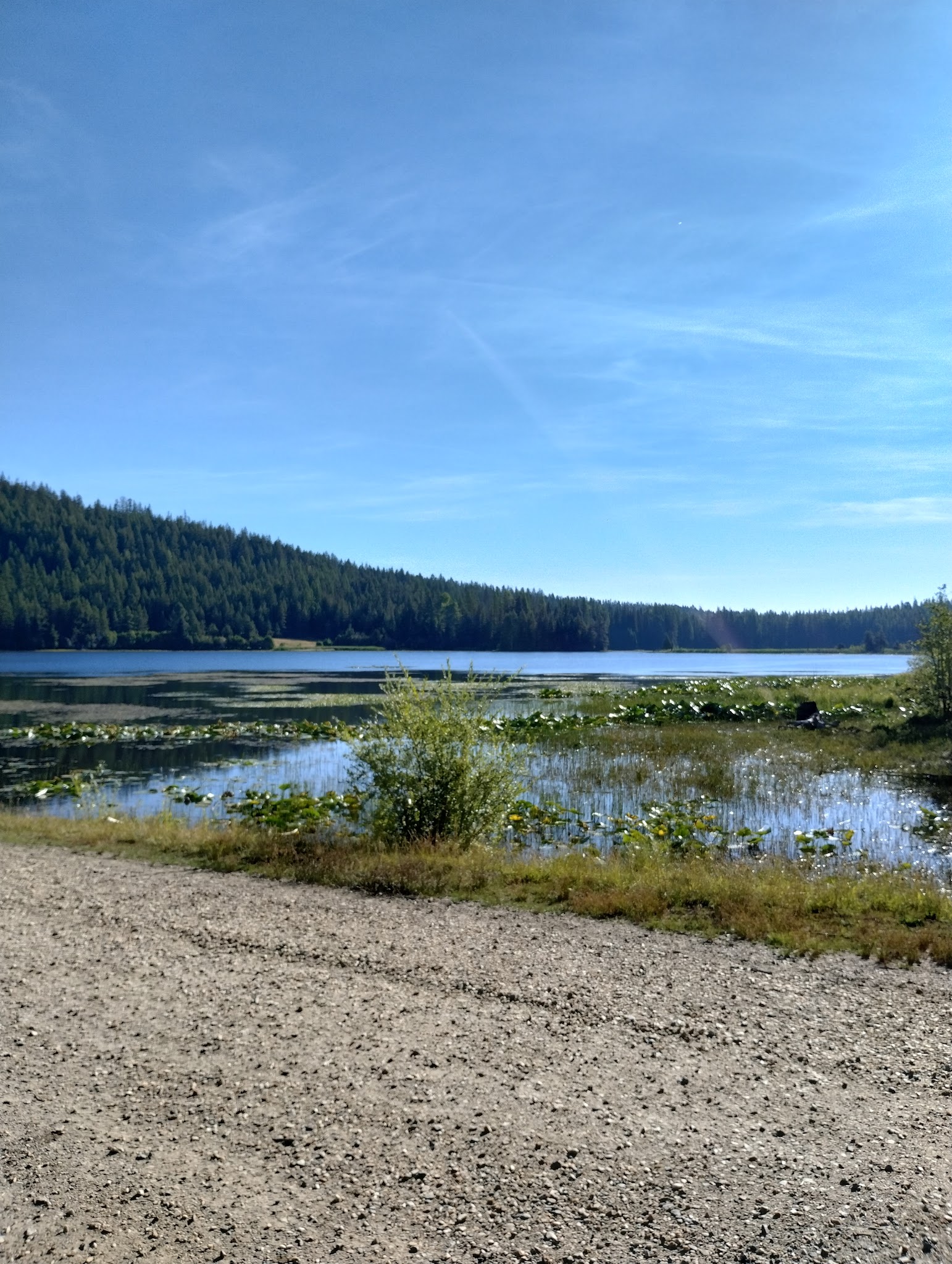 Big Meadow Lake Campground