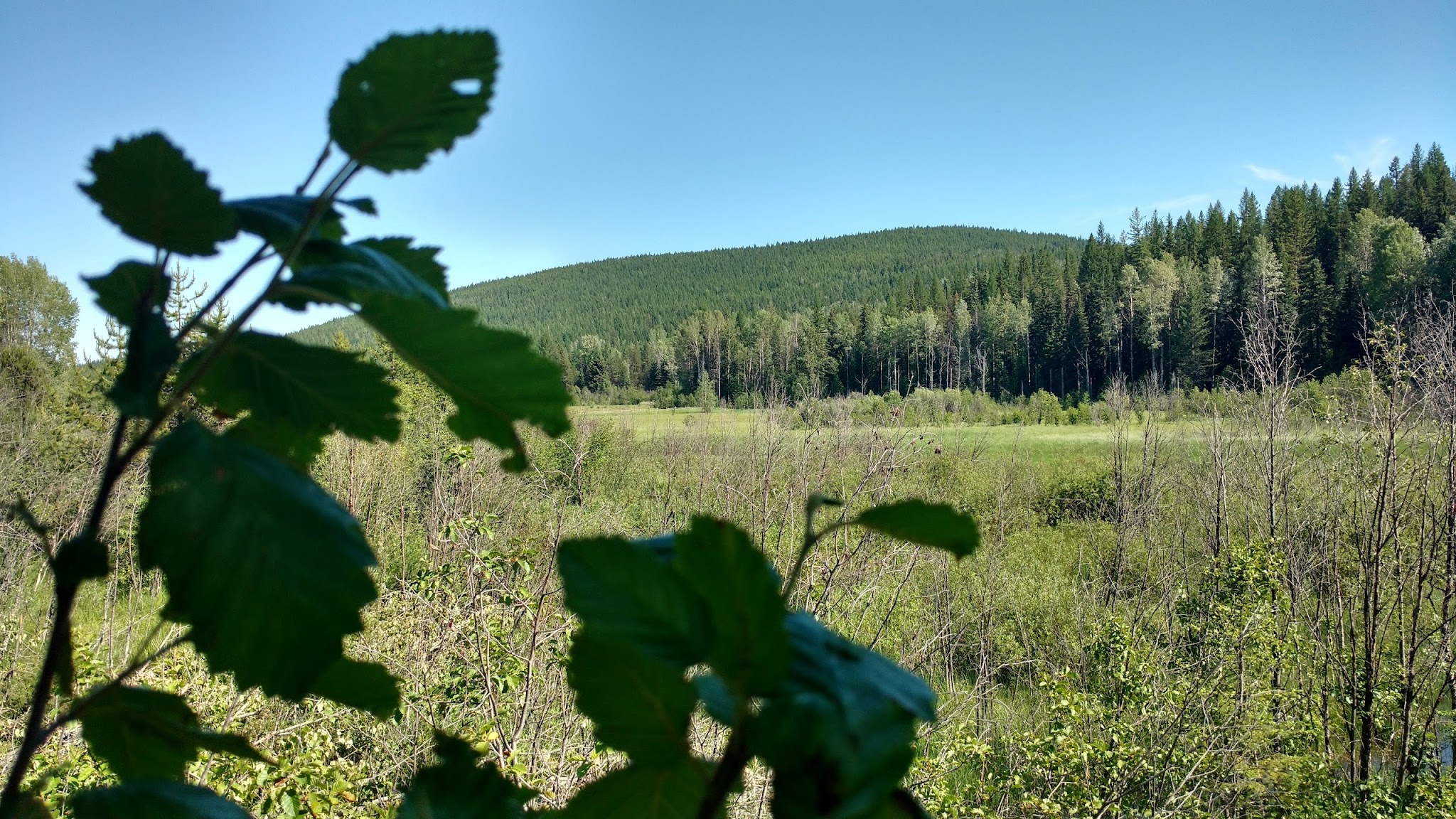 Big Meadow Lake Campground