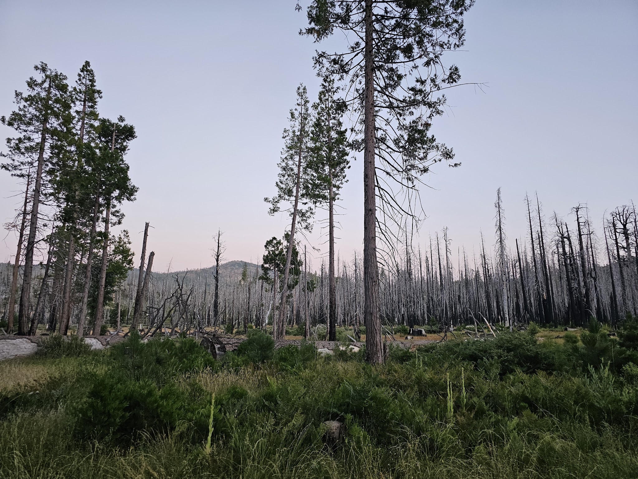 Big Meadows Campground