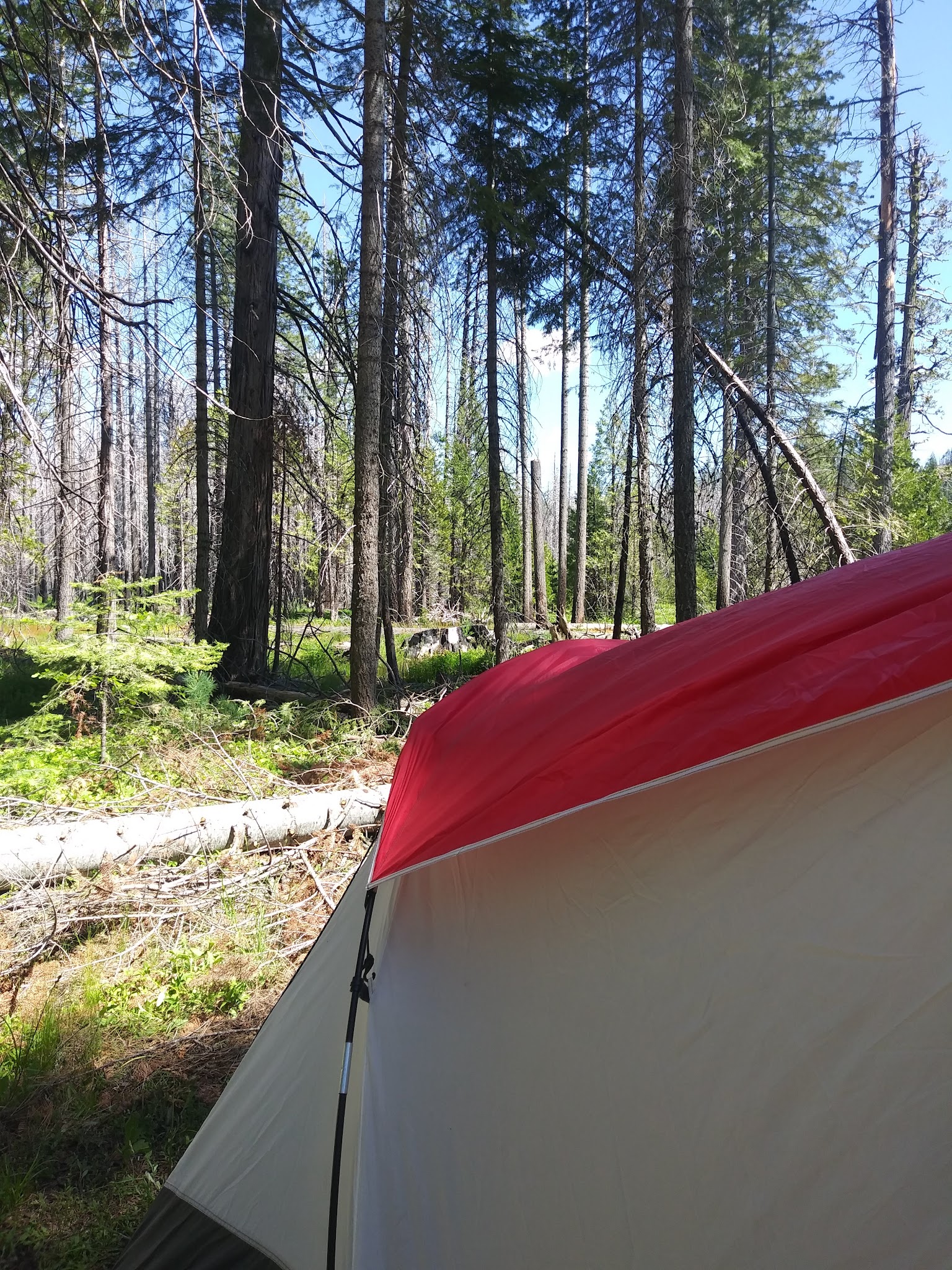 Big Meadows Campground