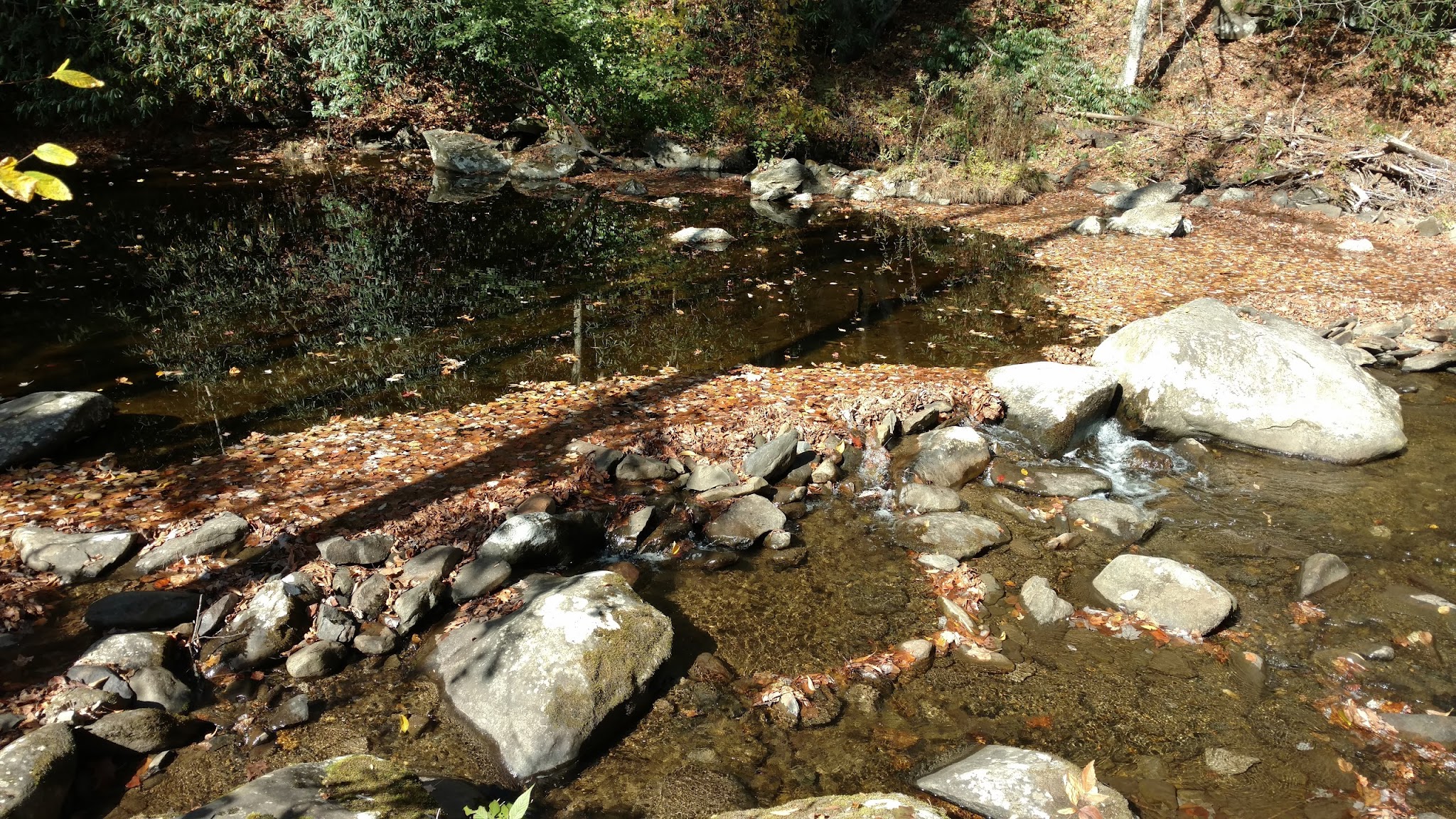 Big Oak Cove Campground