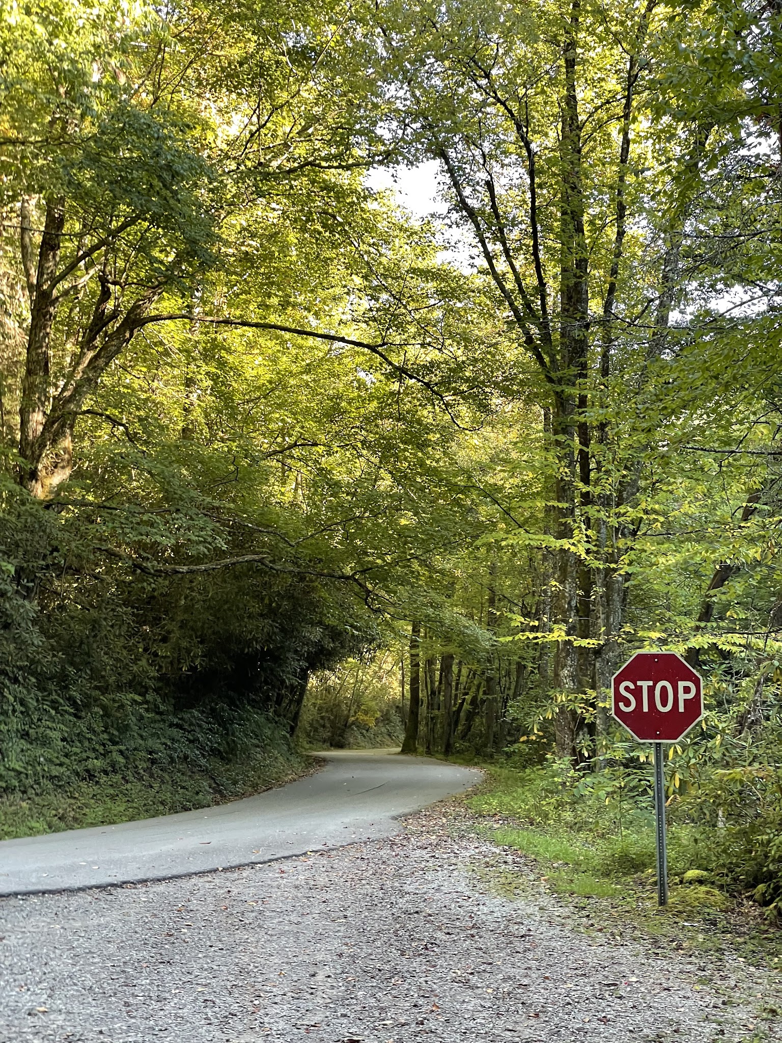 Big Oak Cove Campground