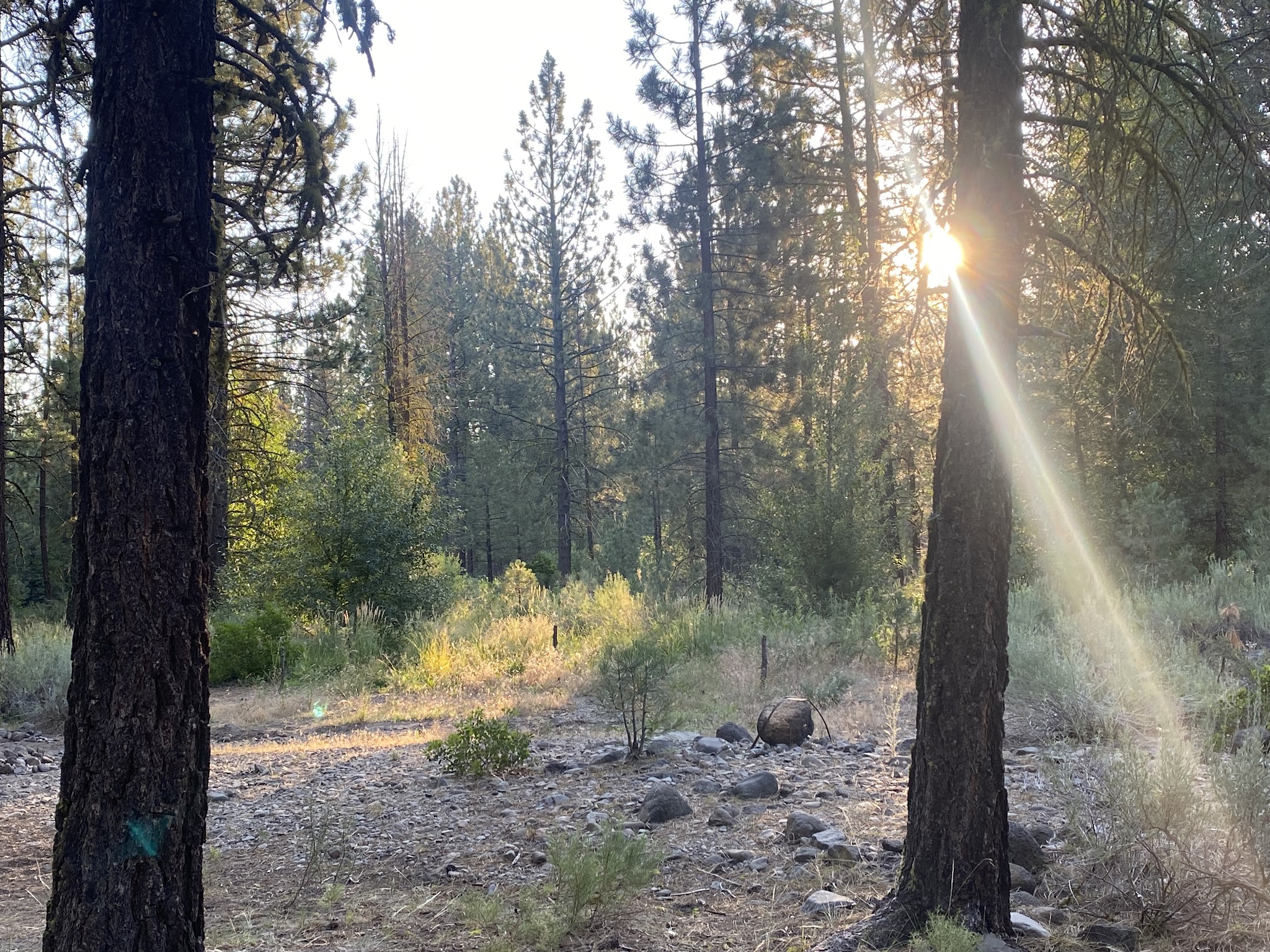 Big Pine Campground