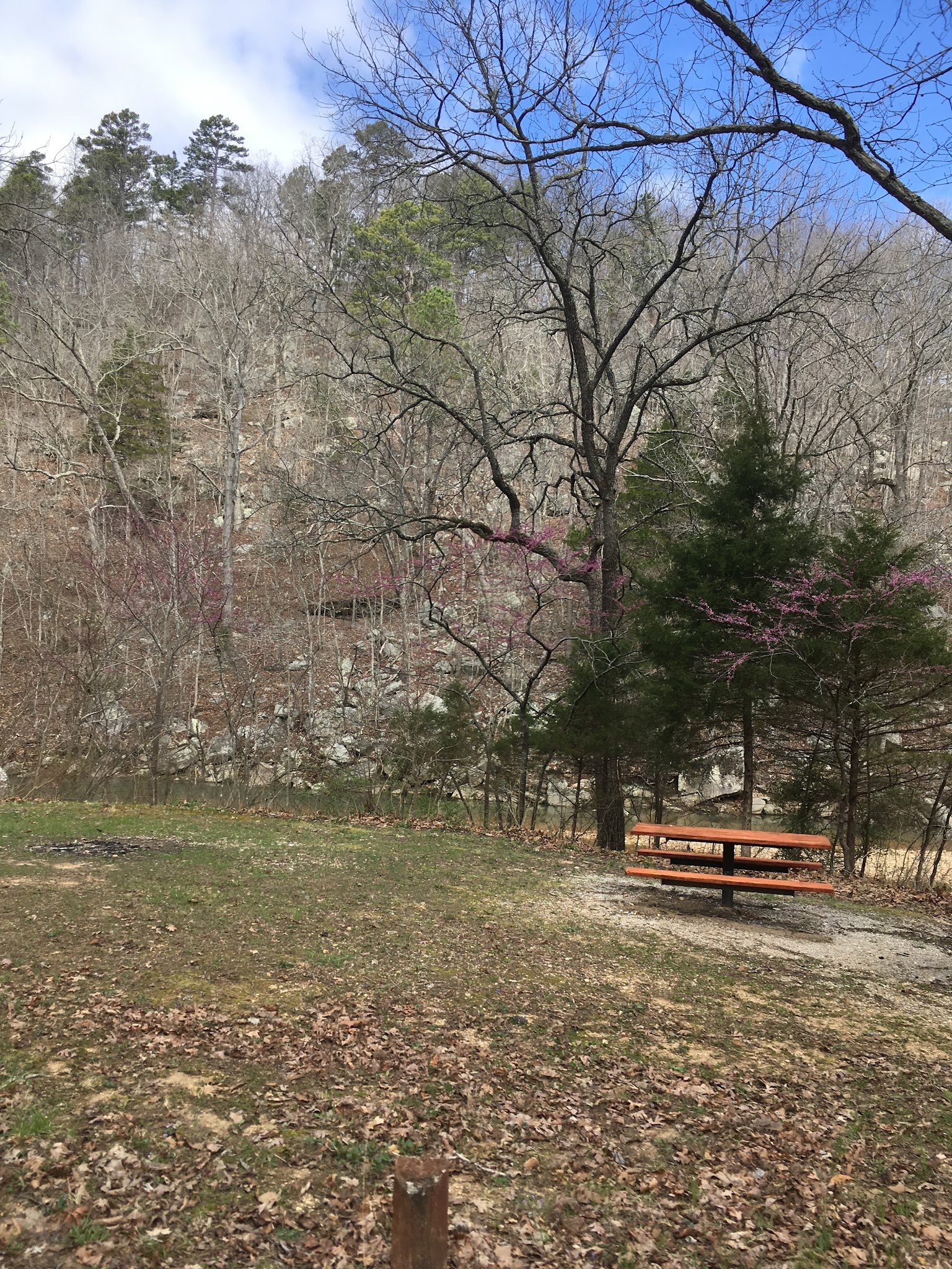 Big Piney Equestrian Camp