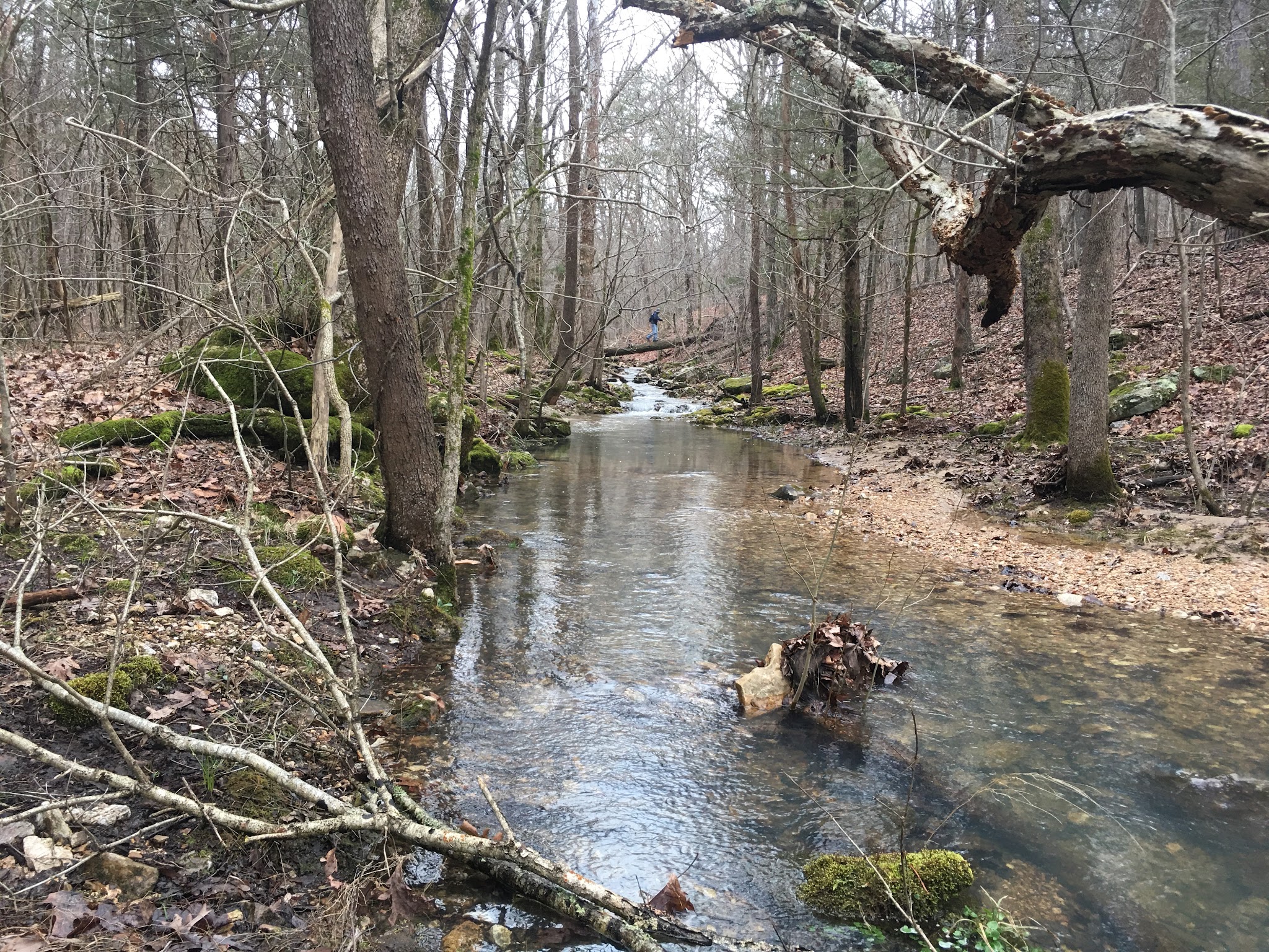 Big Piney Equestrian Camp