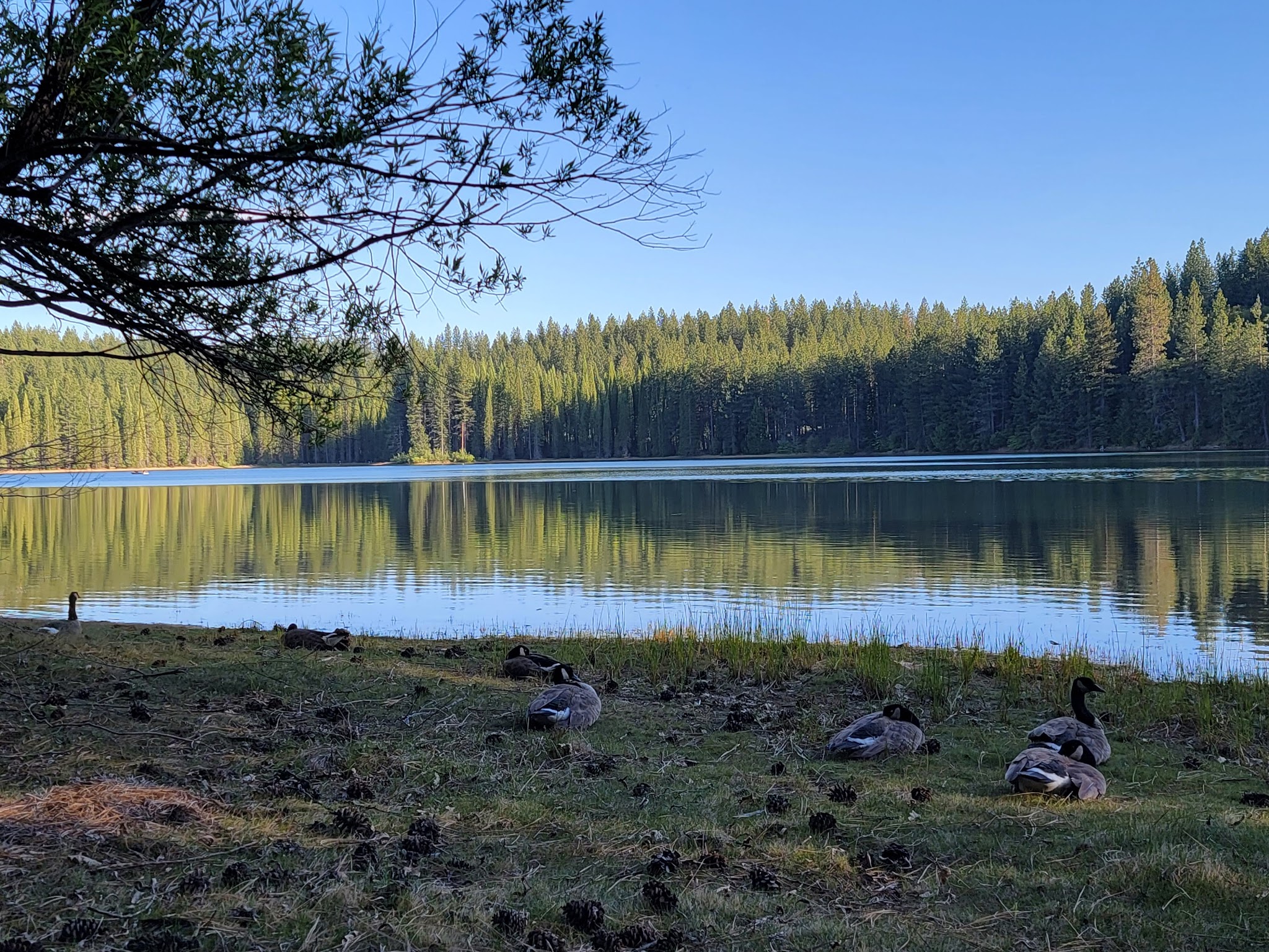 Big Reservoir Campground