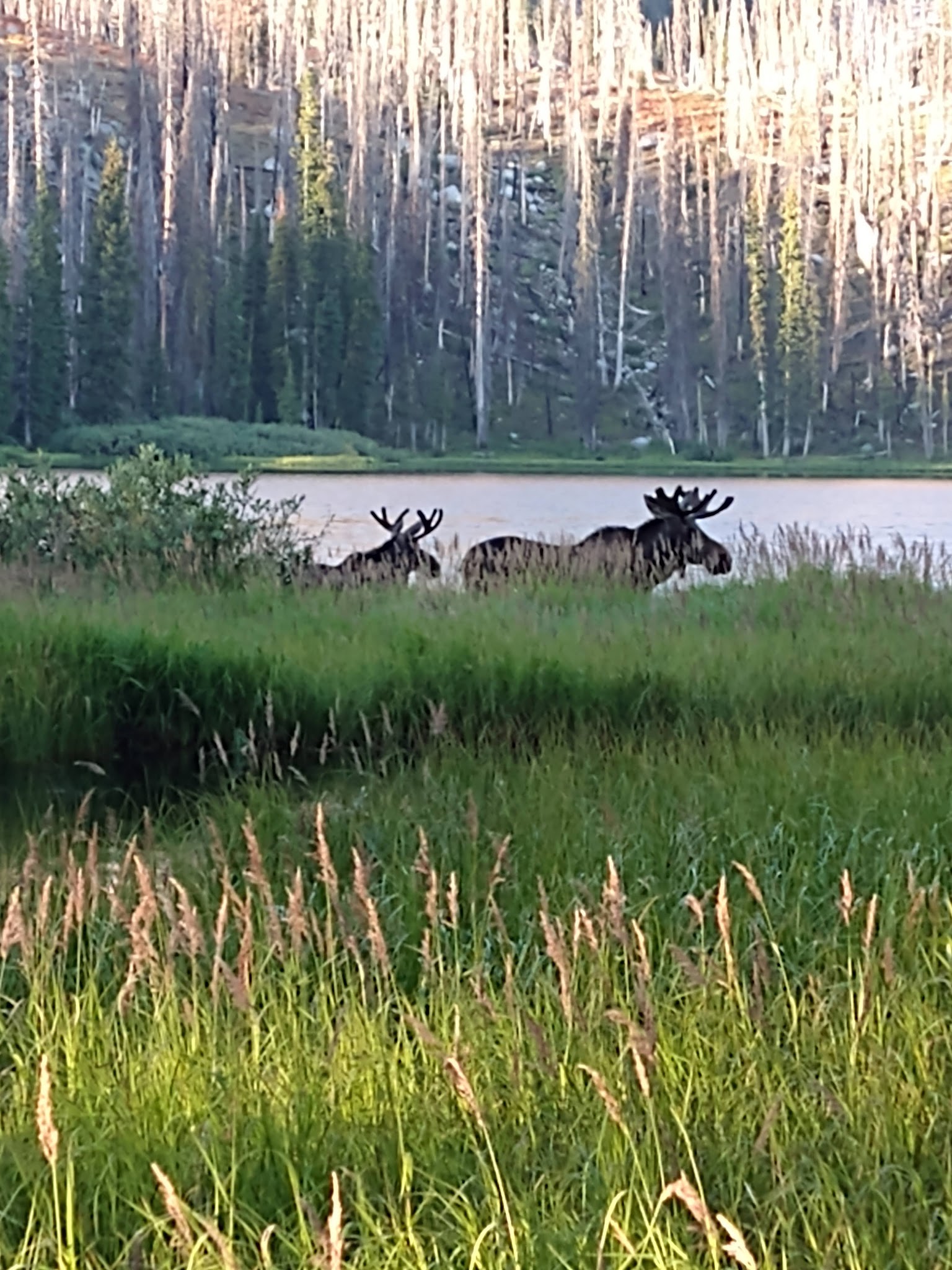 Big Roaring River Lake Campground