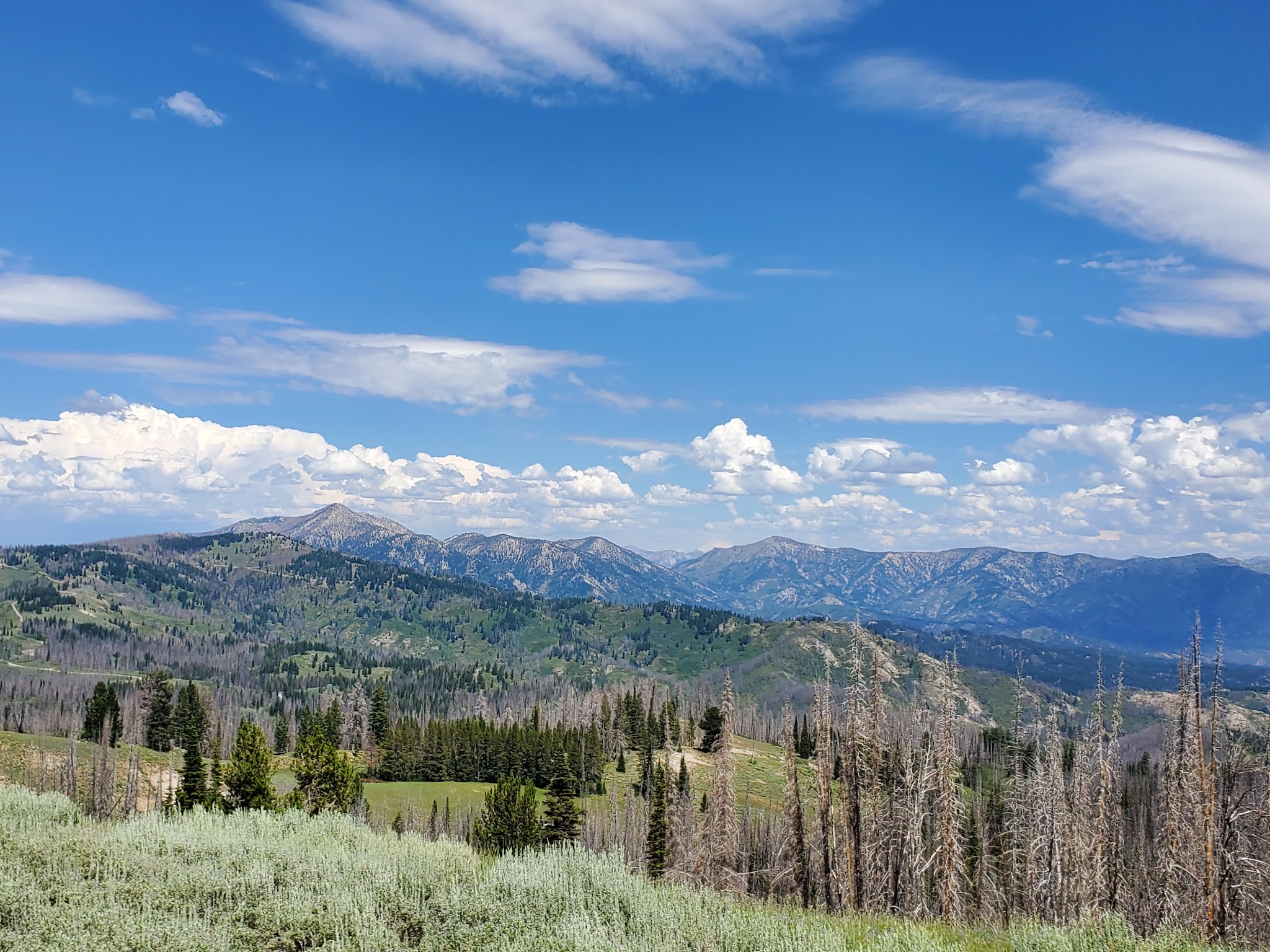 Big Roaring River Lake Campground