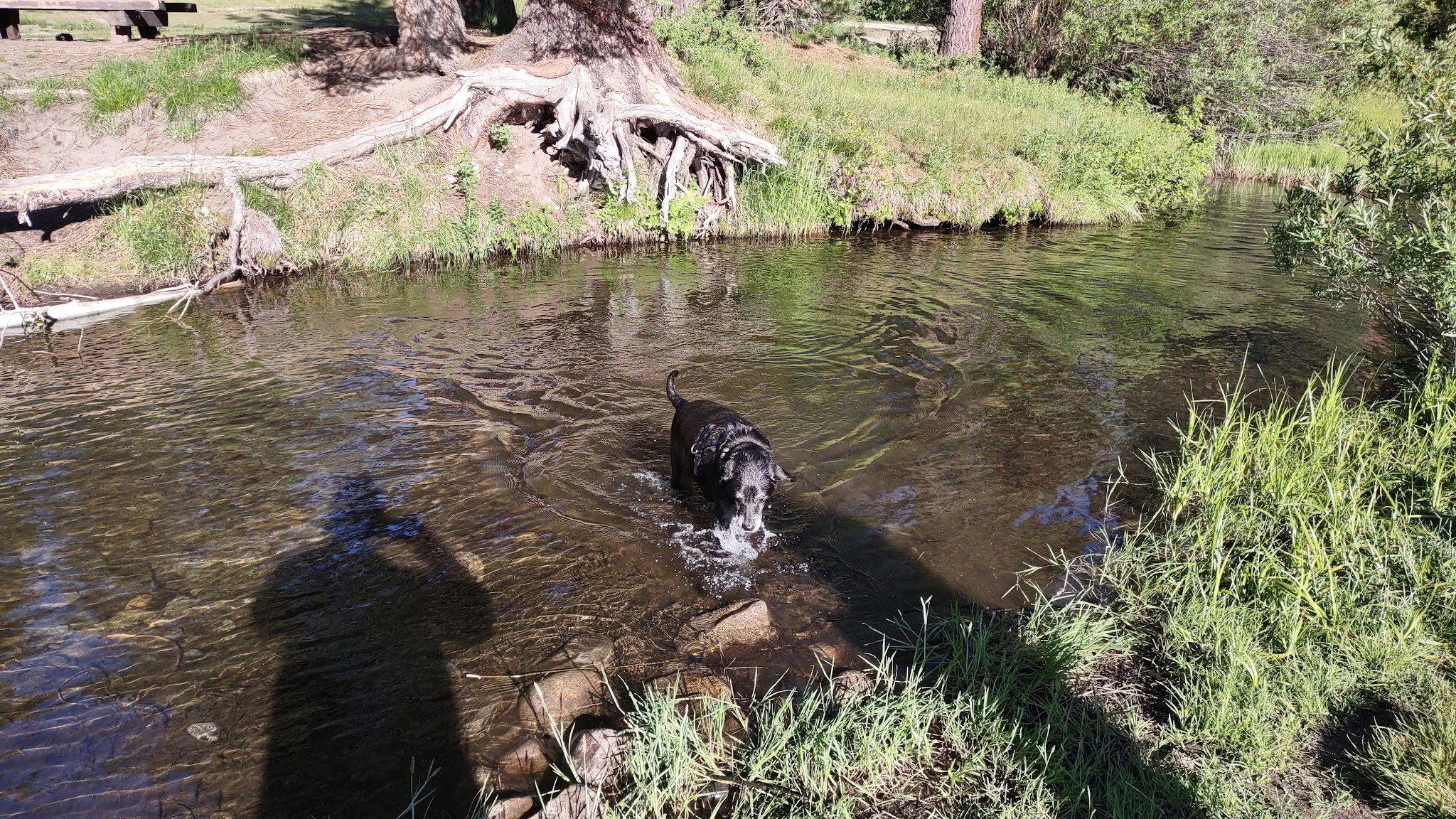 Big Sandy Campground