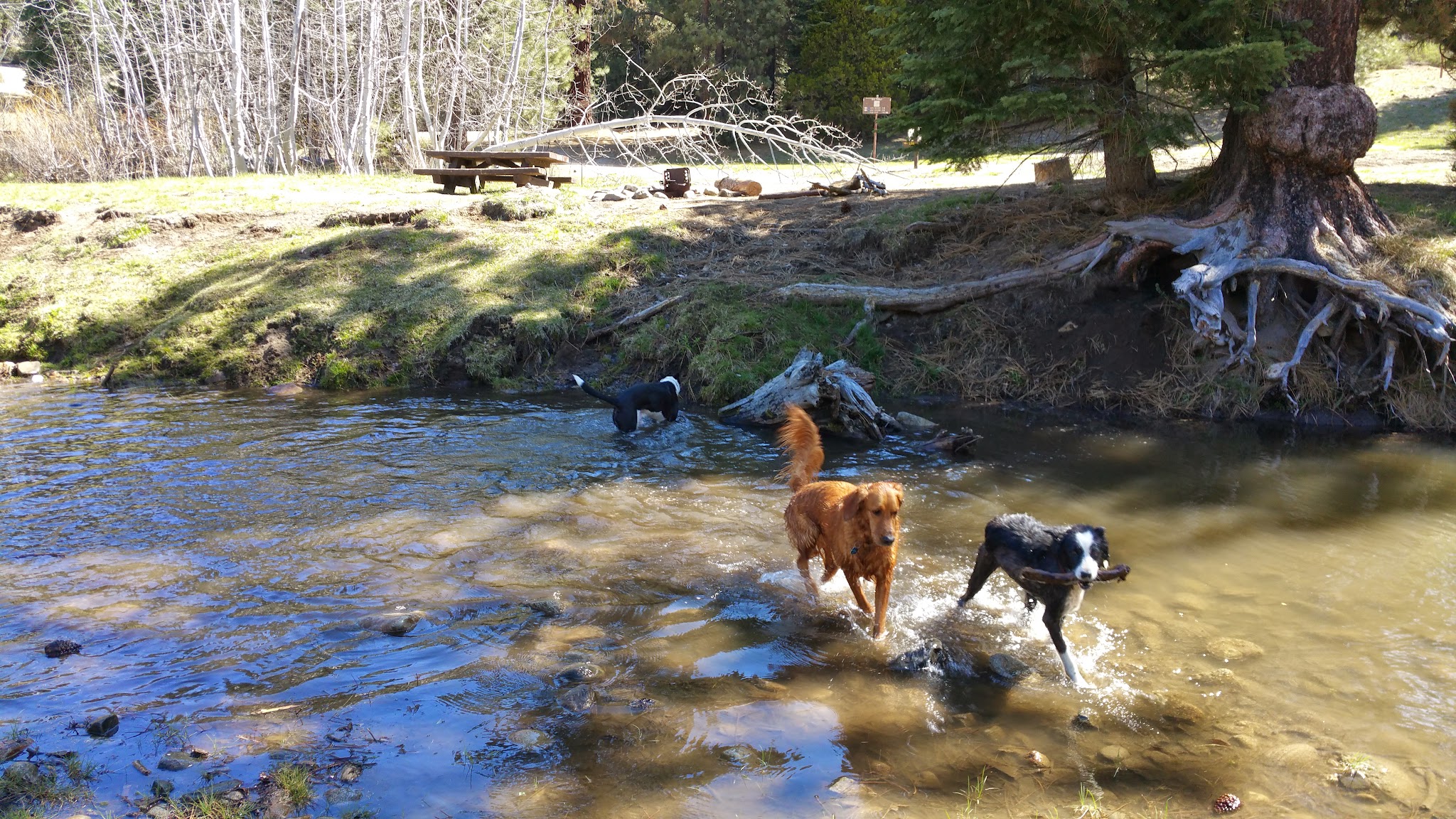 Big Sandy Campground