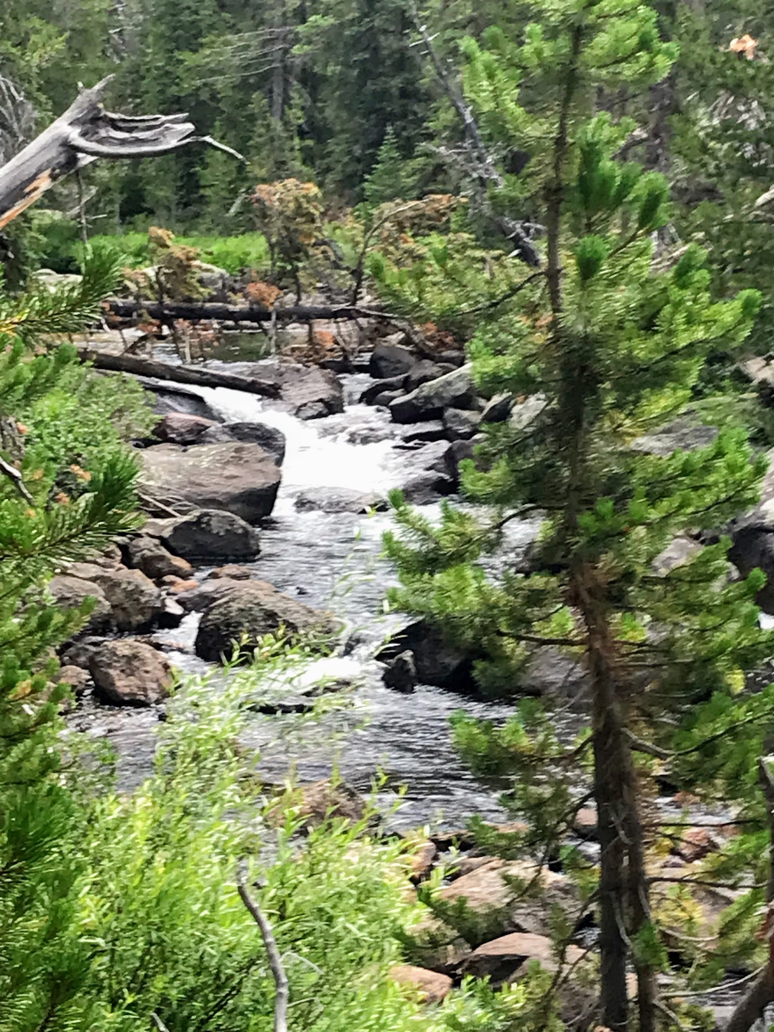 Big Sandy Campground