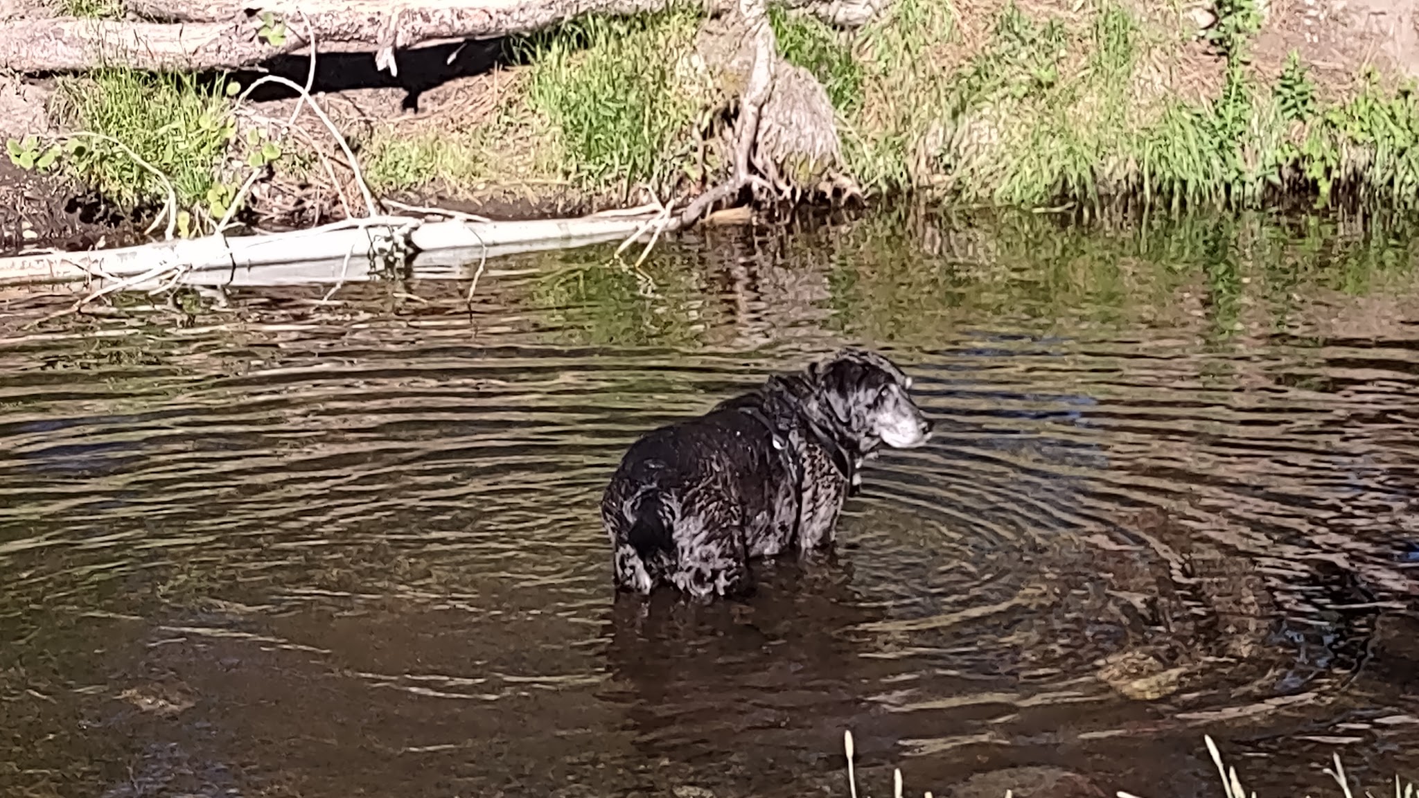 Big Sandy Campground