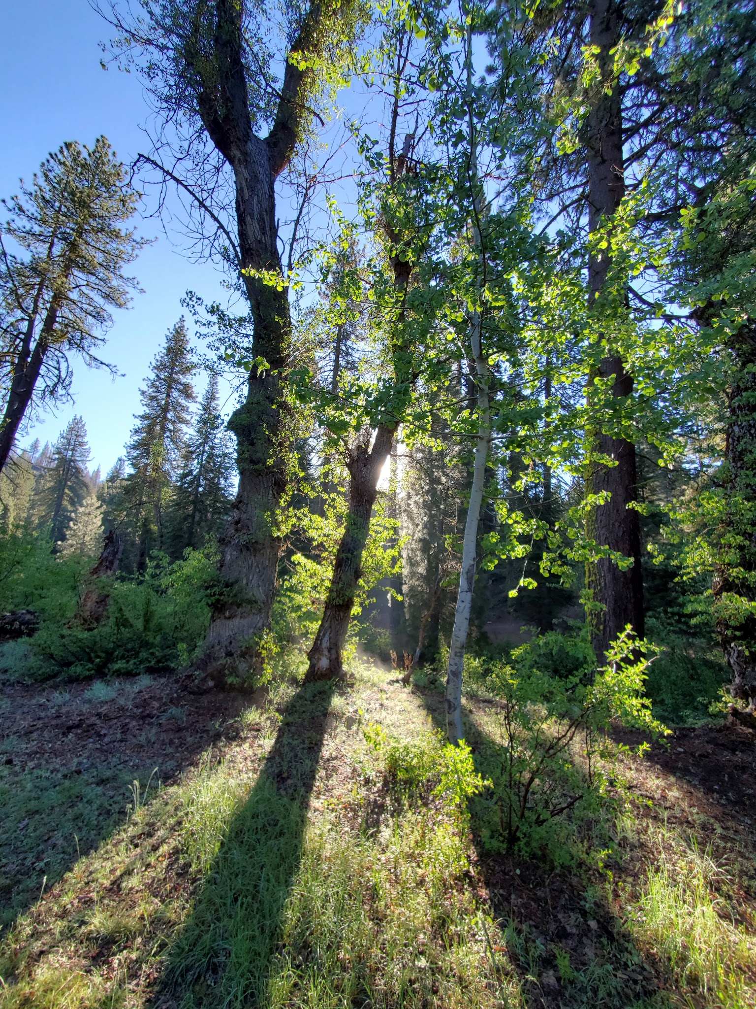 Big Sandy Campground