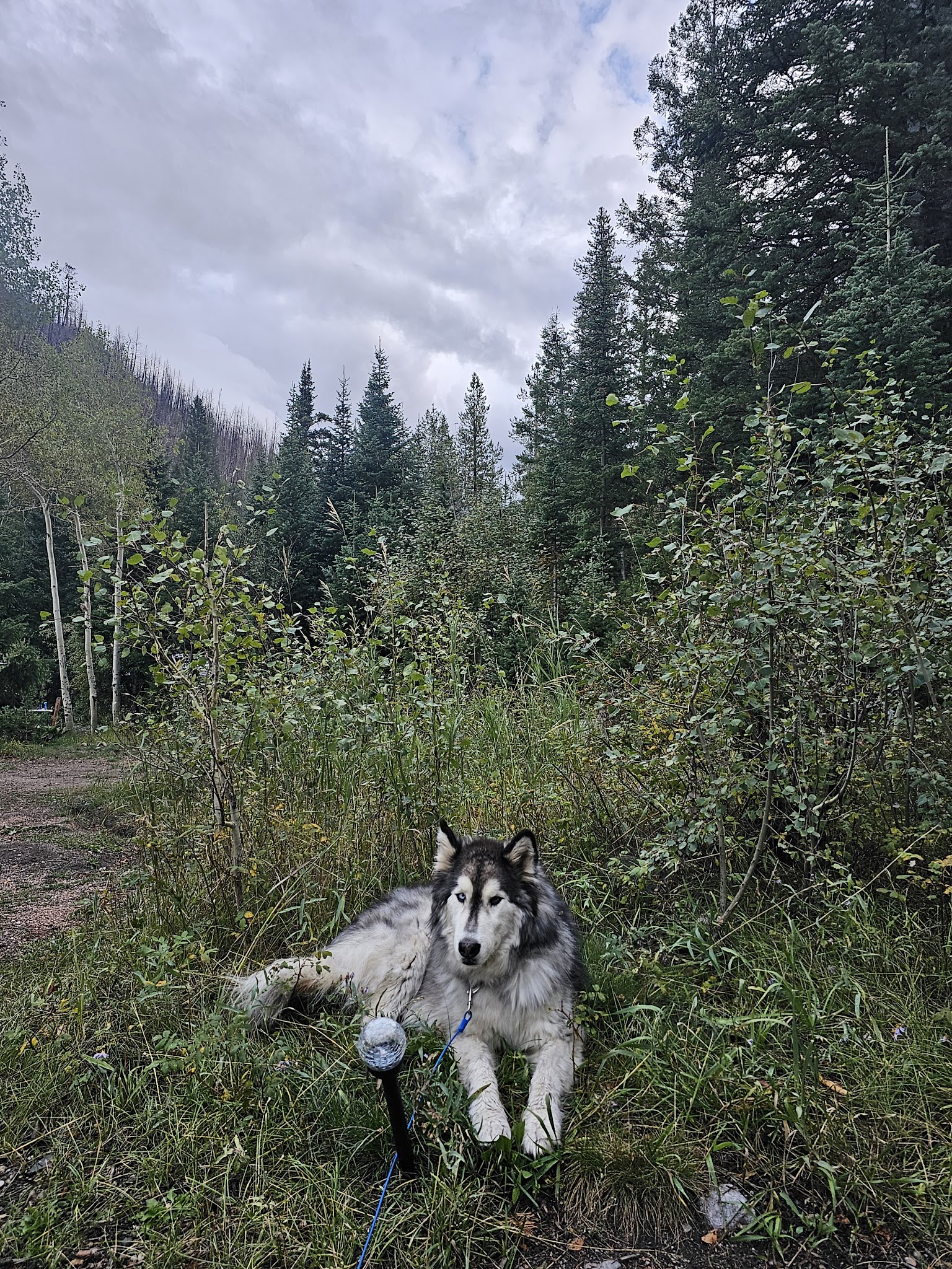 Big South Campground