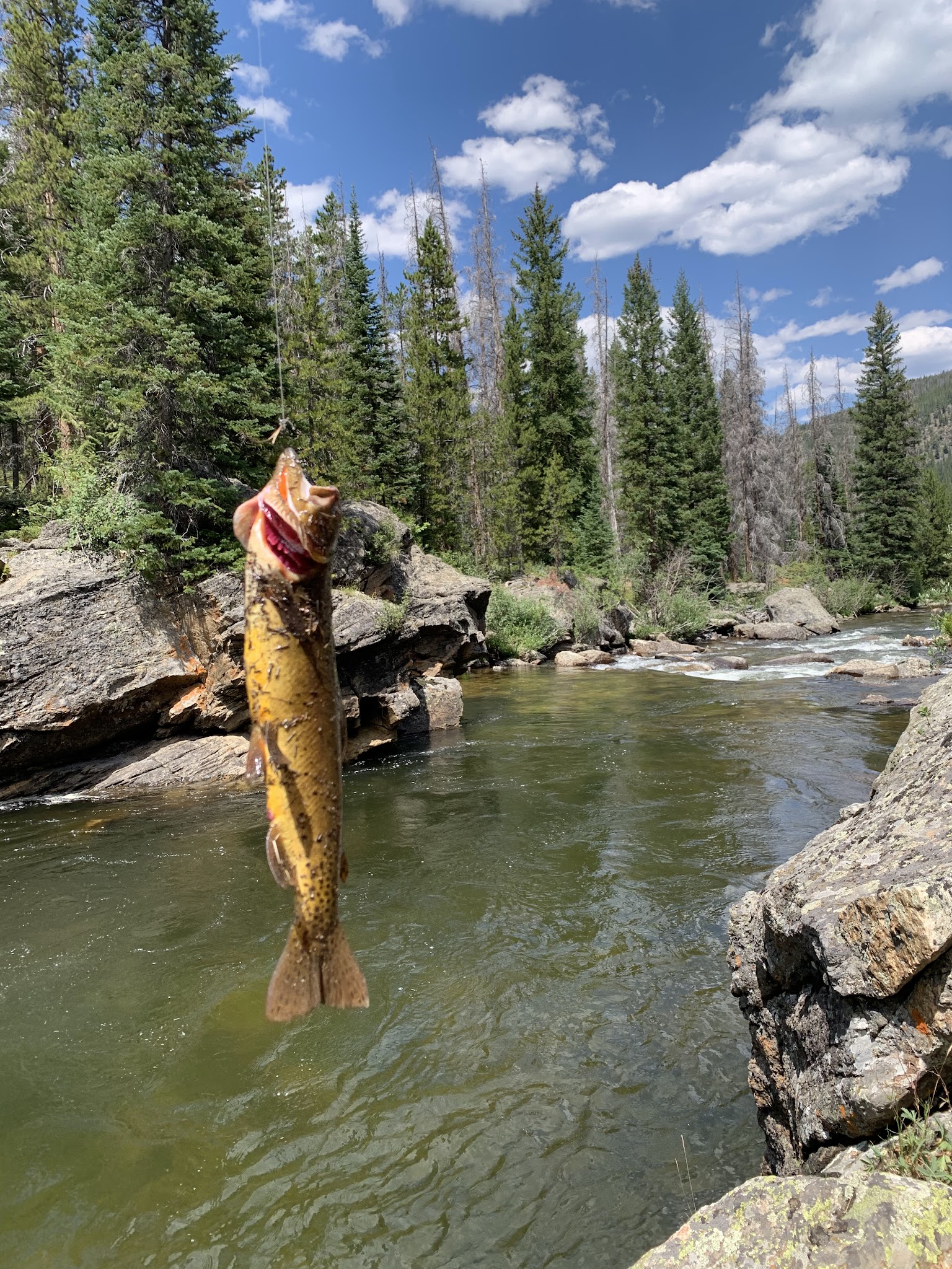 Big South Campground