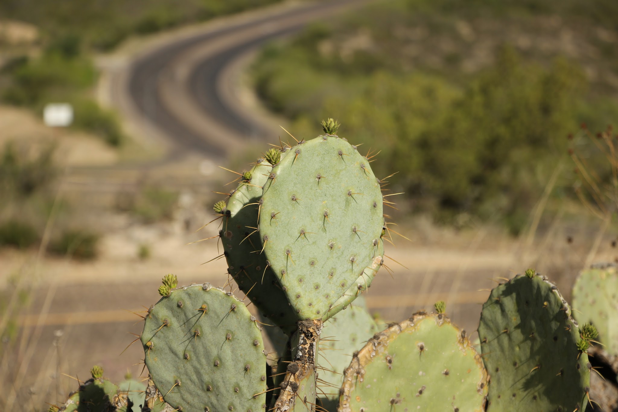 Big Spring State Park