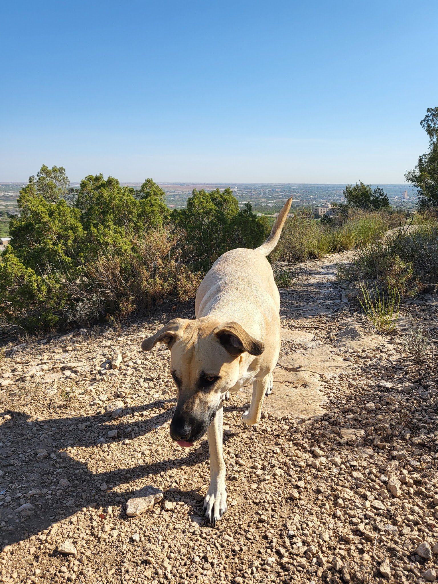 Big Spring State Park