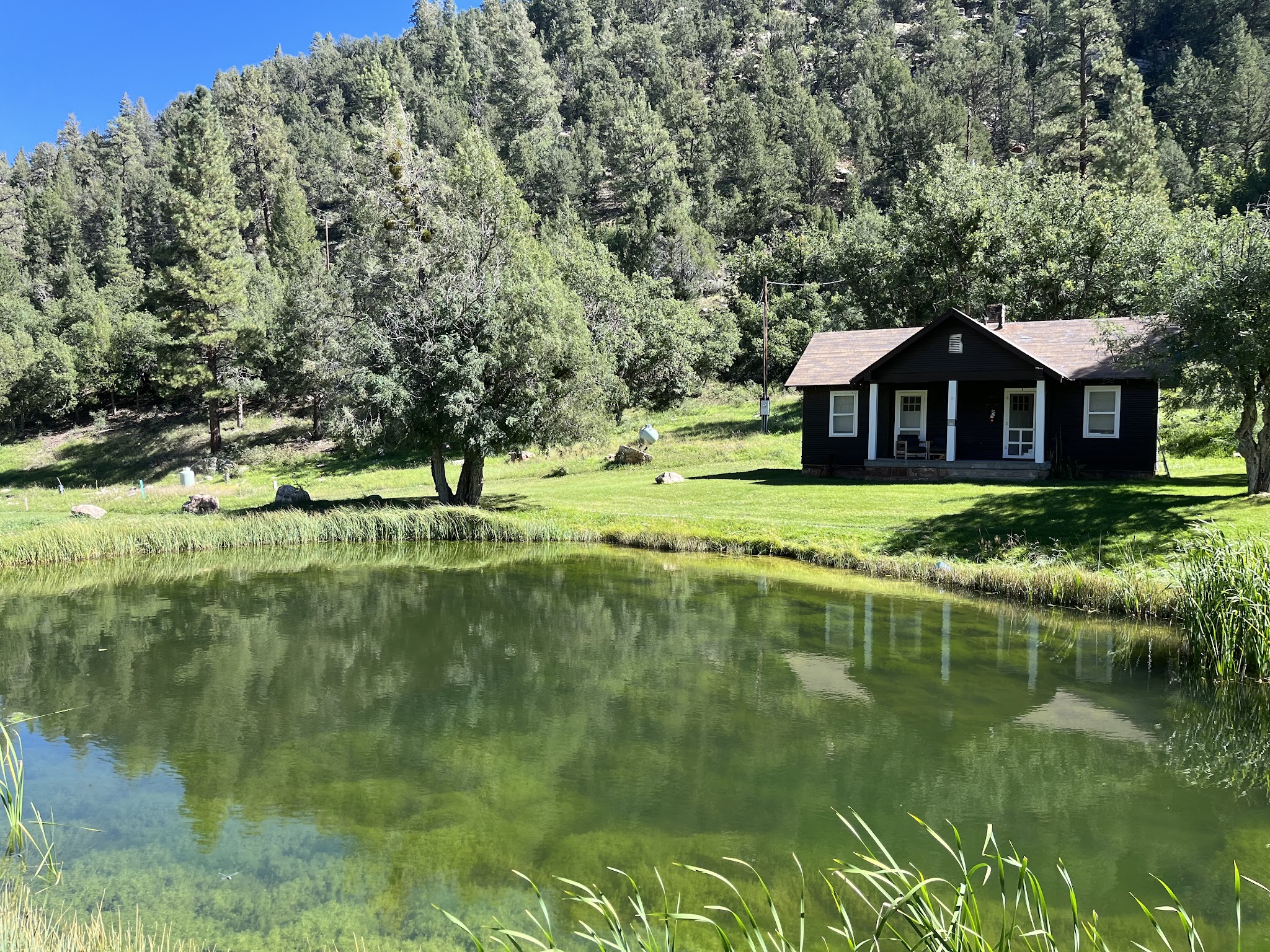 Big Springs Cabin Site