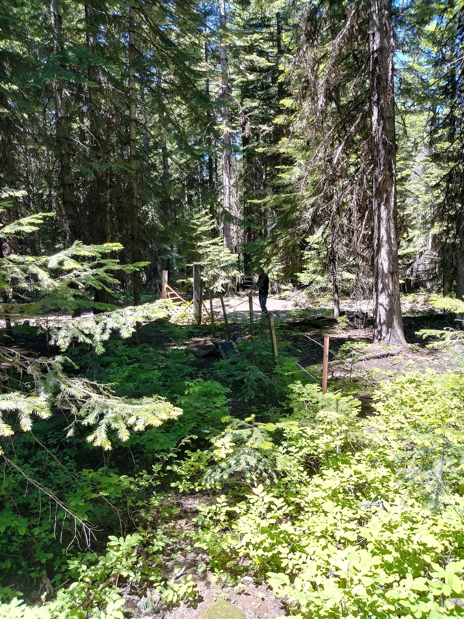 Big Springs Campground