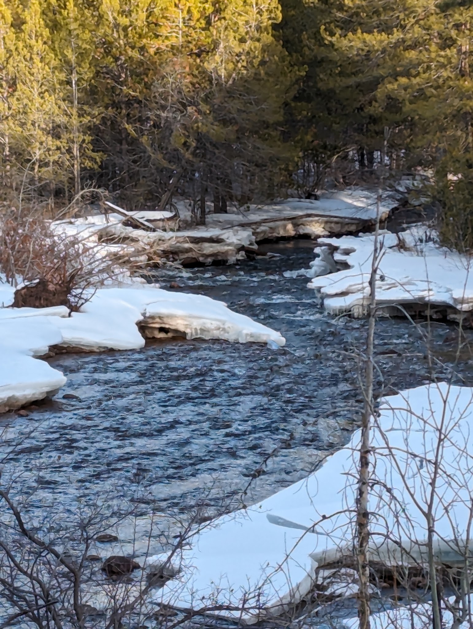 Big Springs Campground