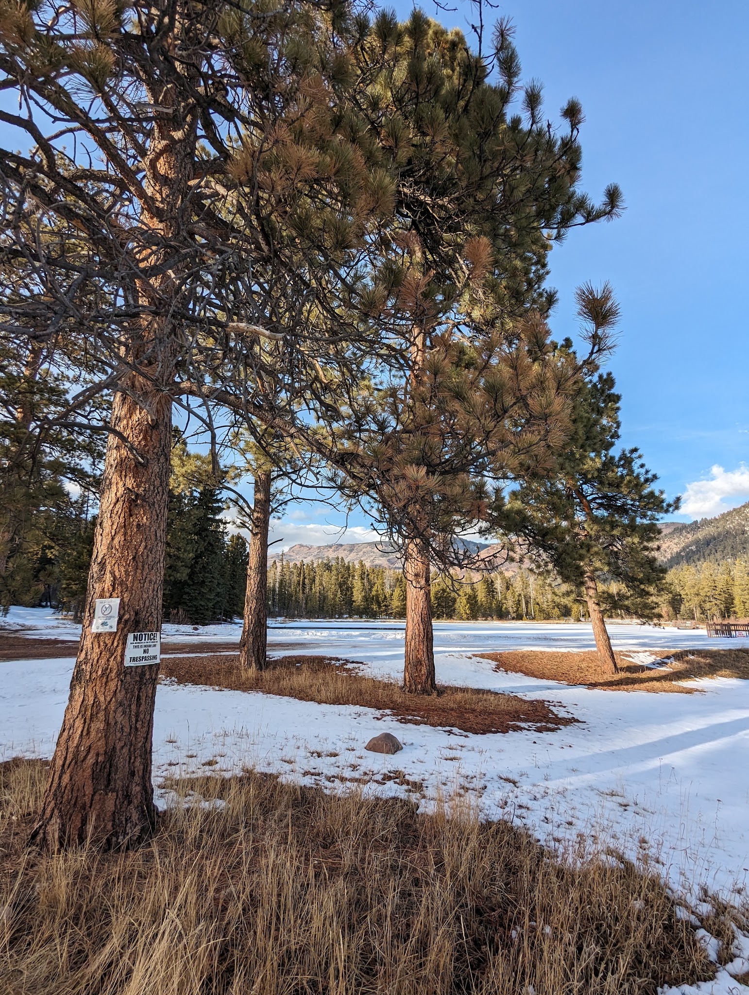 Big Springs Campground