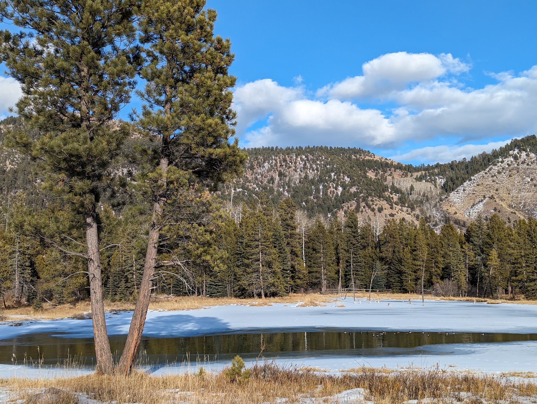 Big Springs Campground
