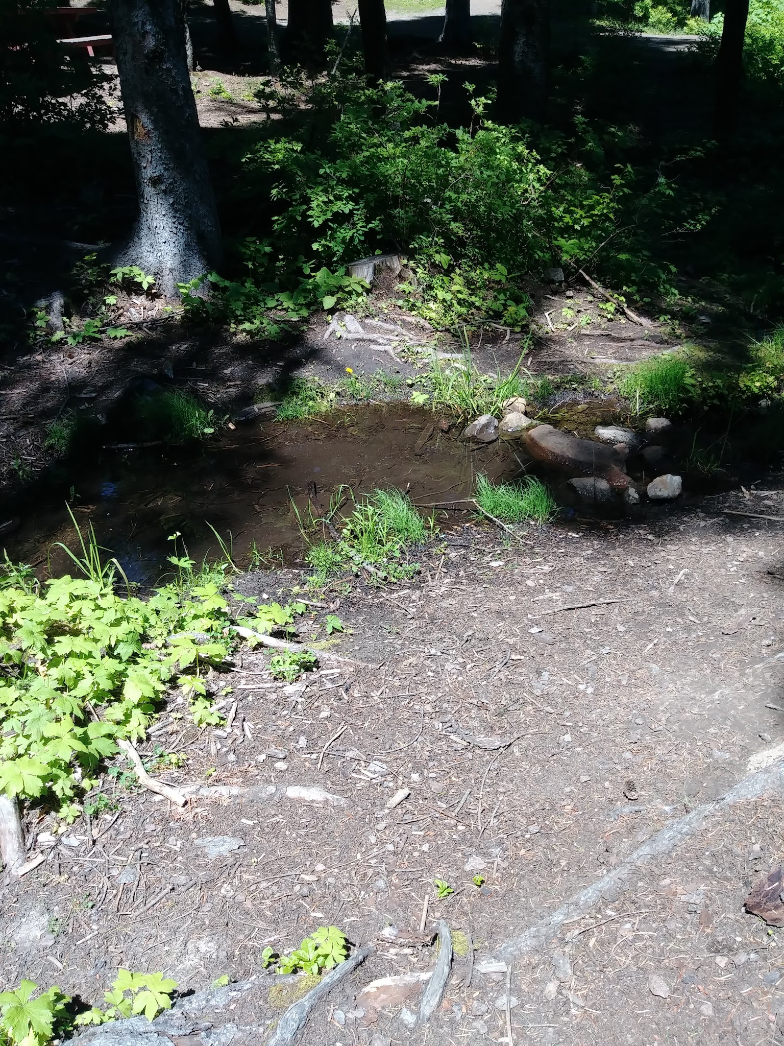 Big Springs Campground