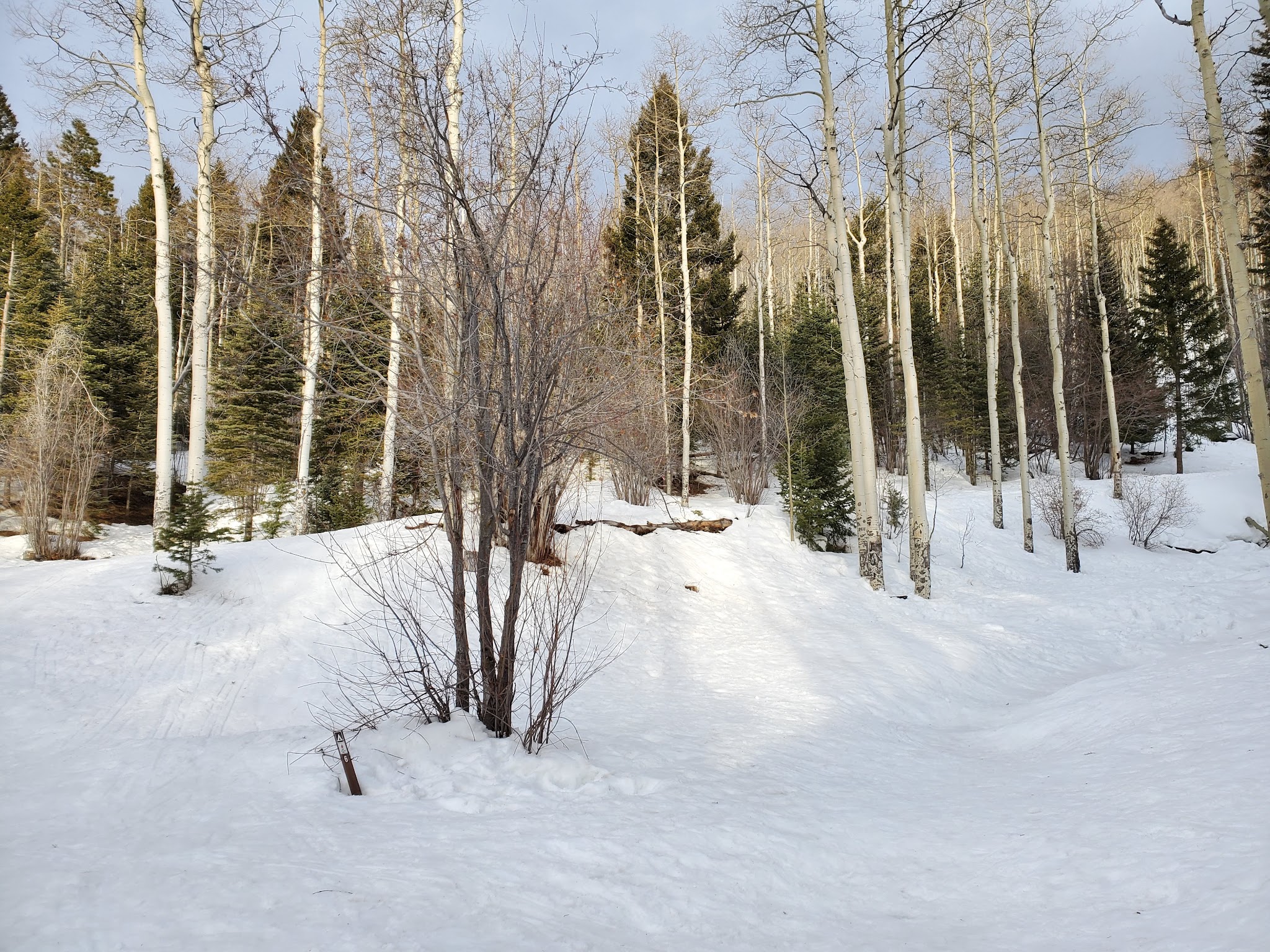 Big Tesuque Campground