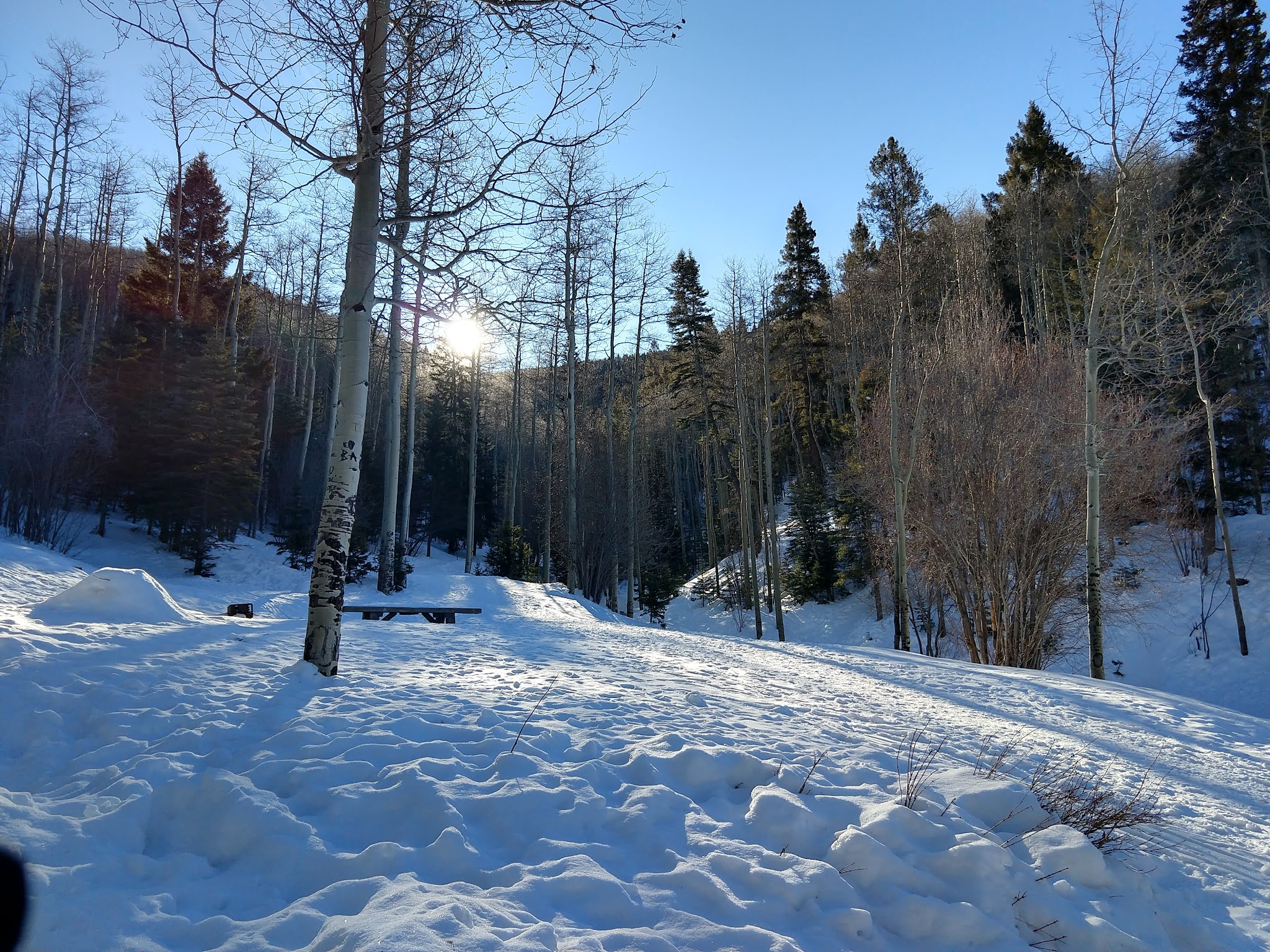 Big Tesuque Campground