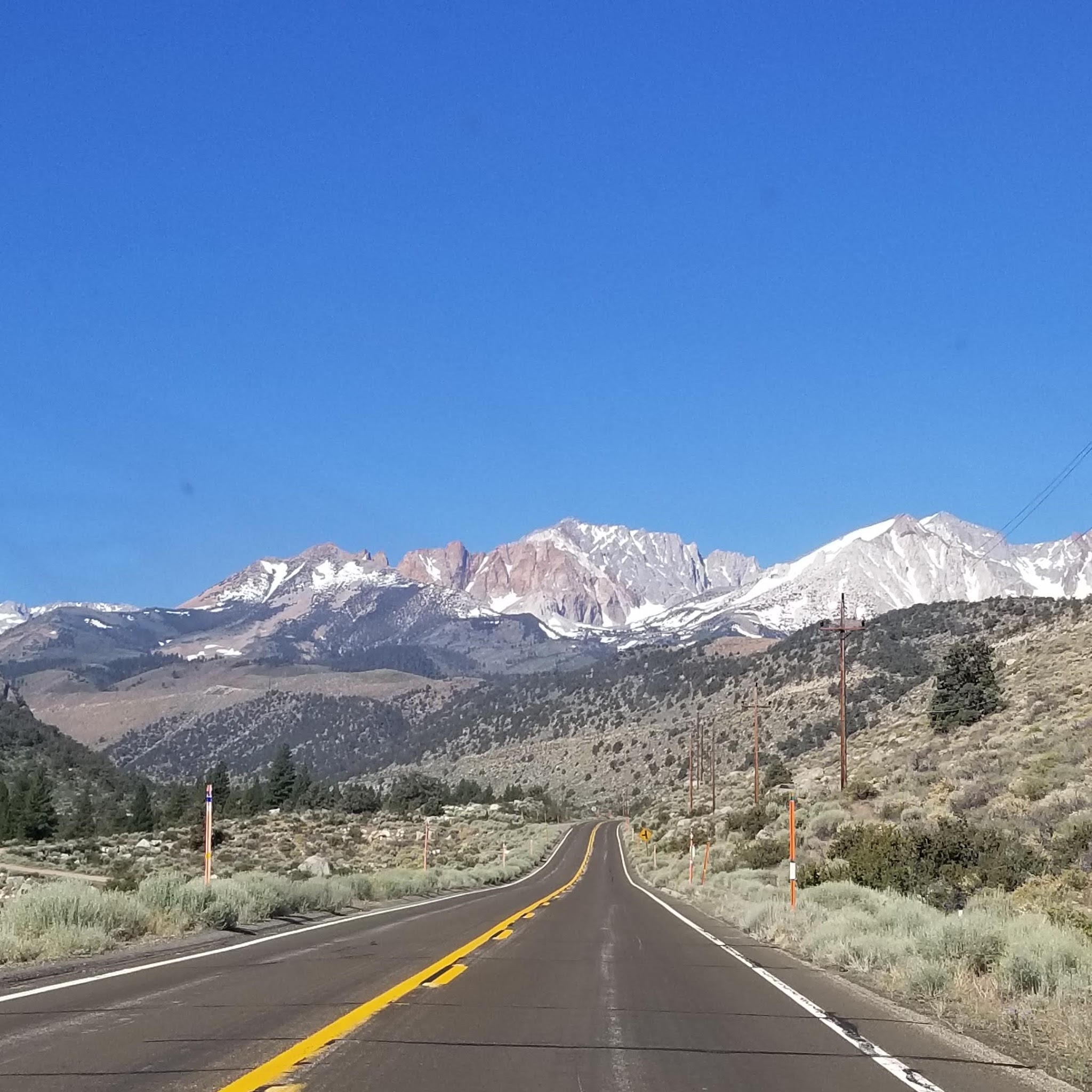 Big Trees Campground