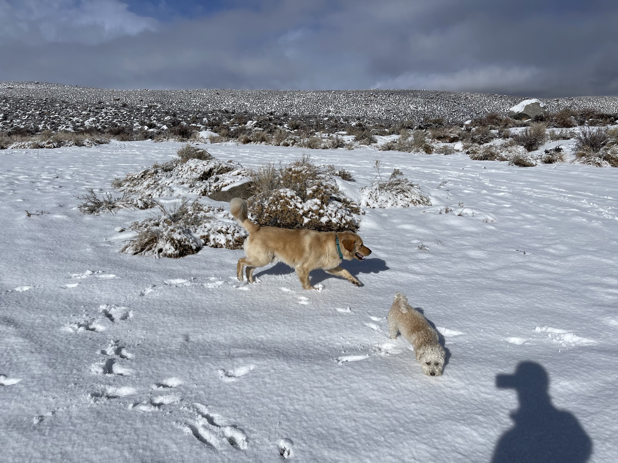 Big Trees Campground