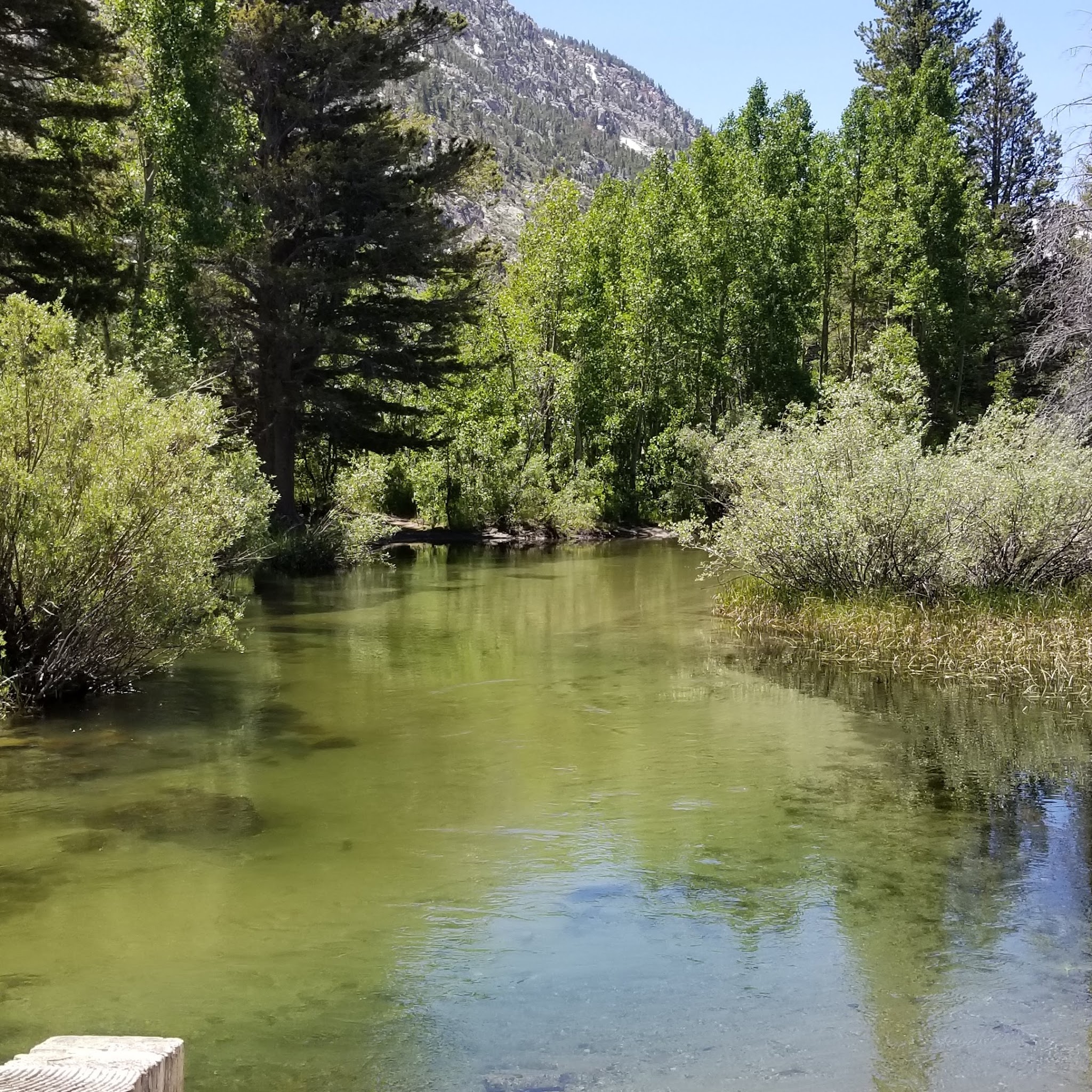 Big Trees Campground