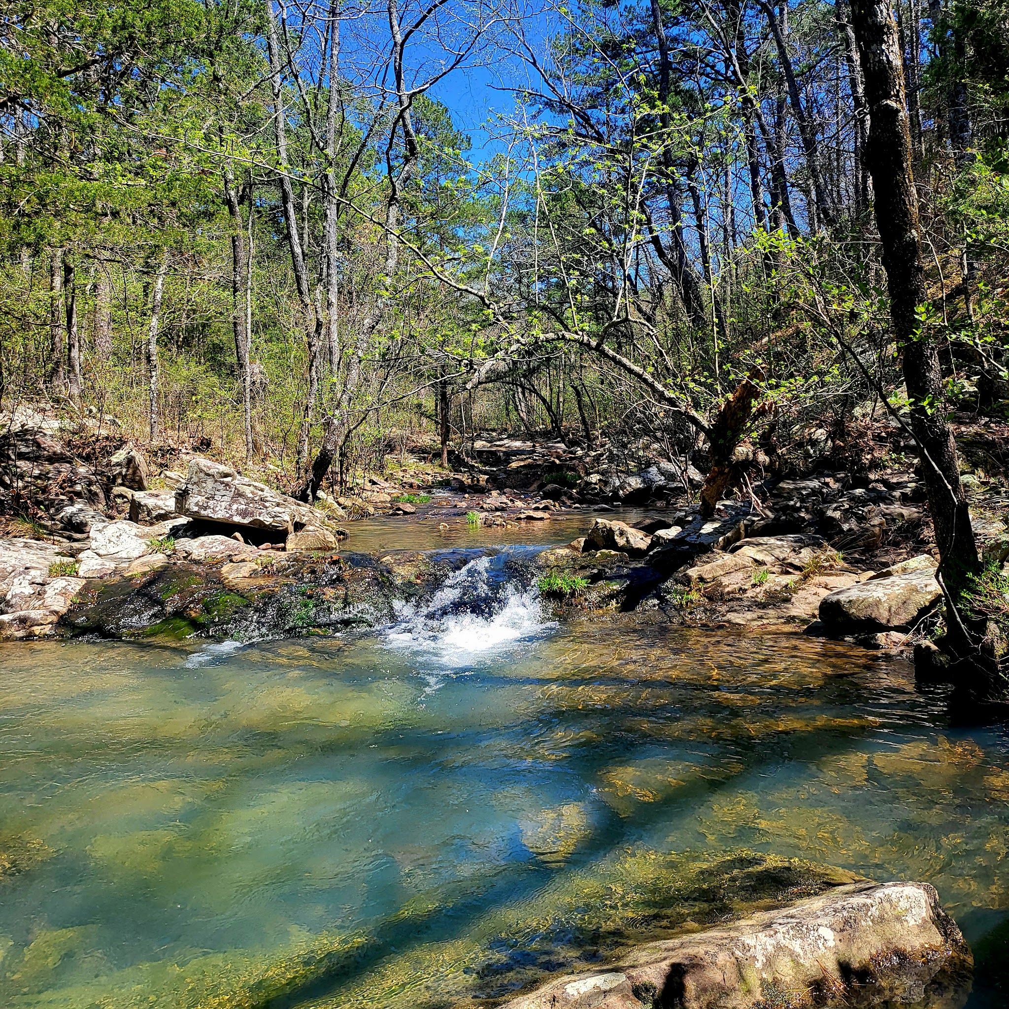 Billy Creek Recreation Area